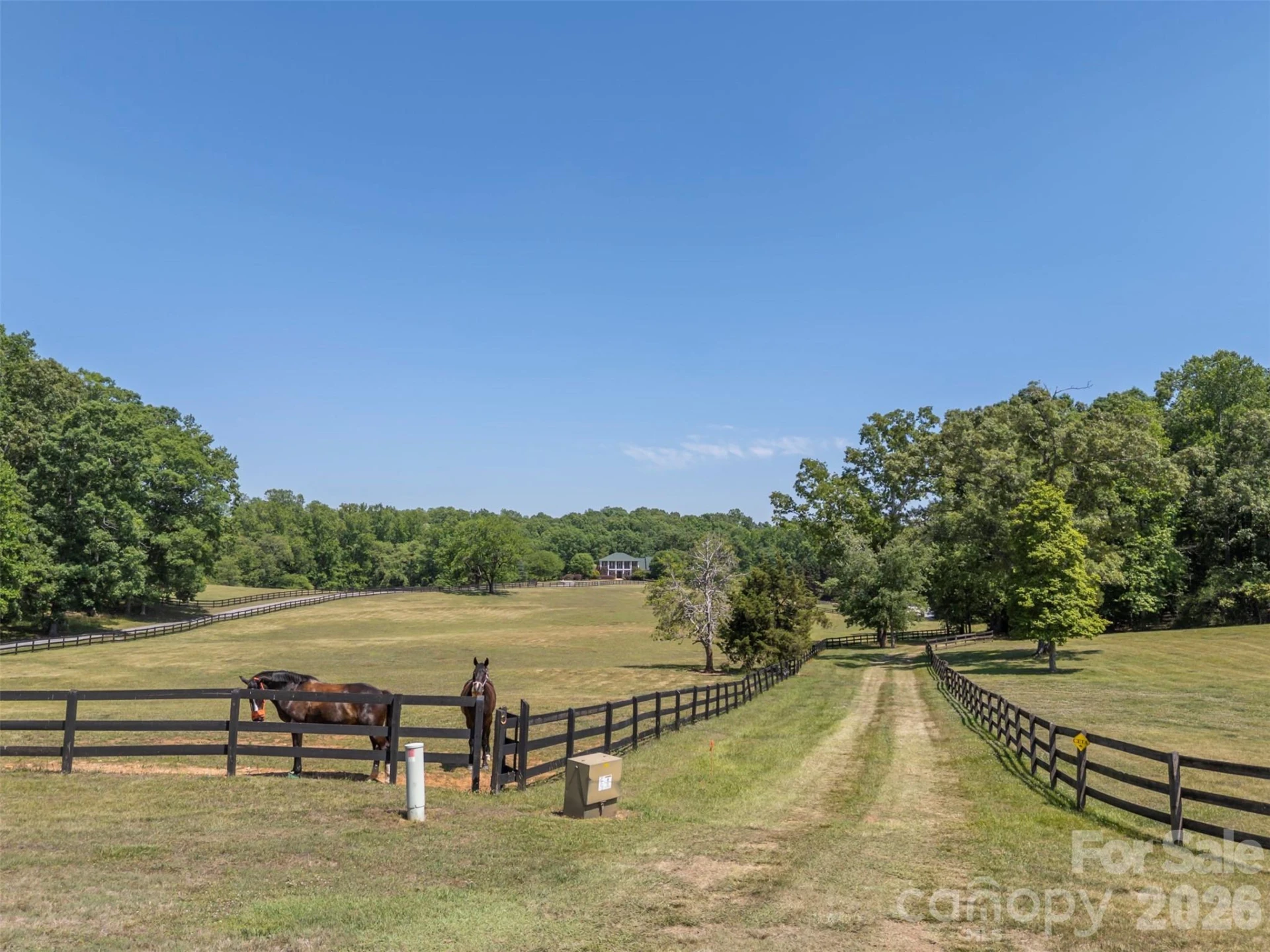 00 Green Fields Lane - Photo 17