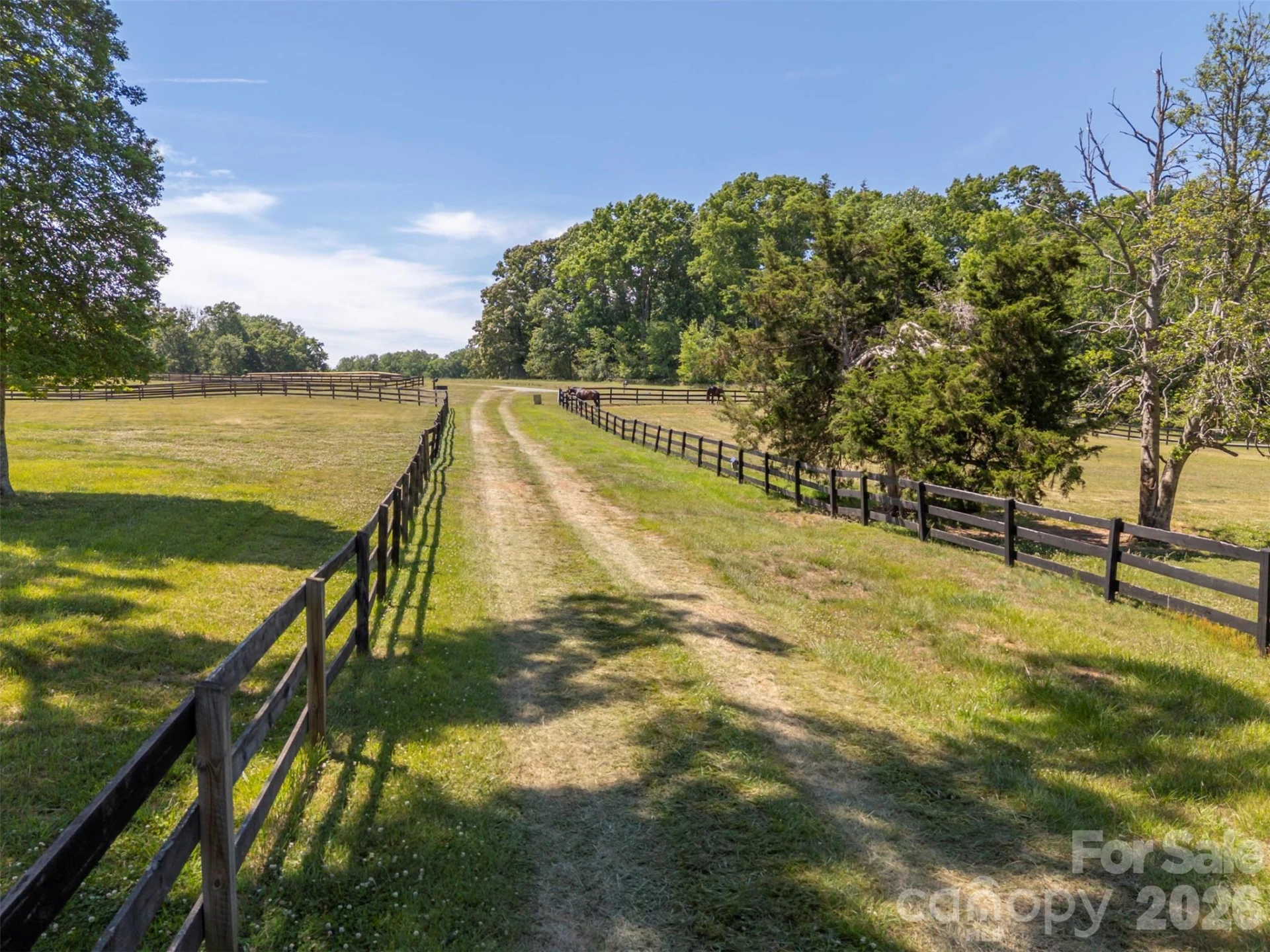 00 Green Fields Lane - Photo 18