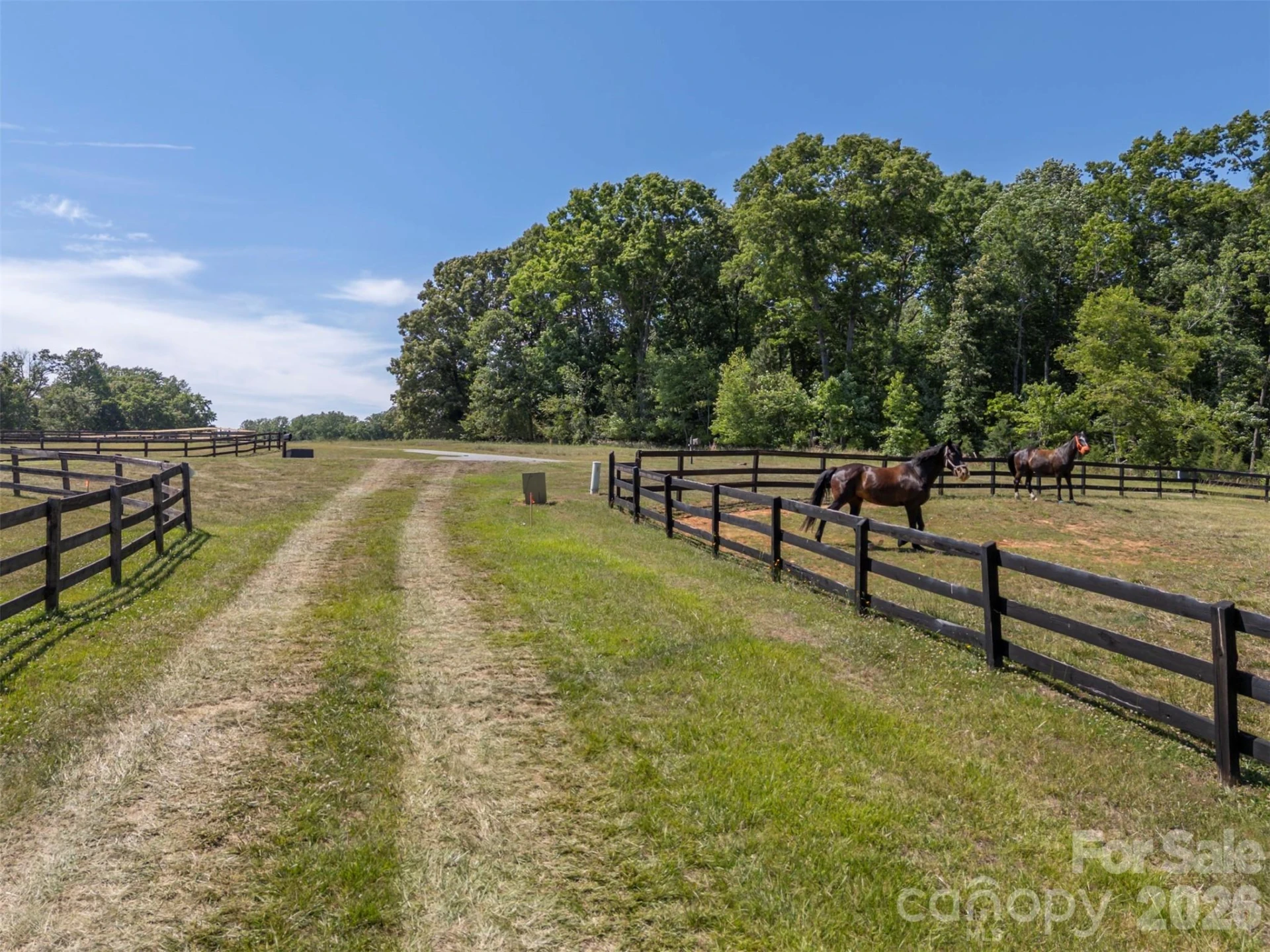 00 Green Fields Lane - Photo 20
