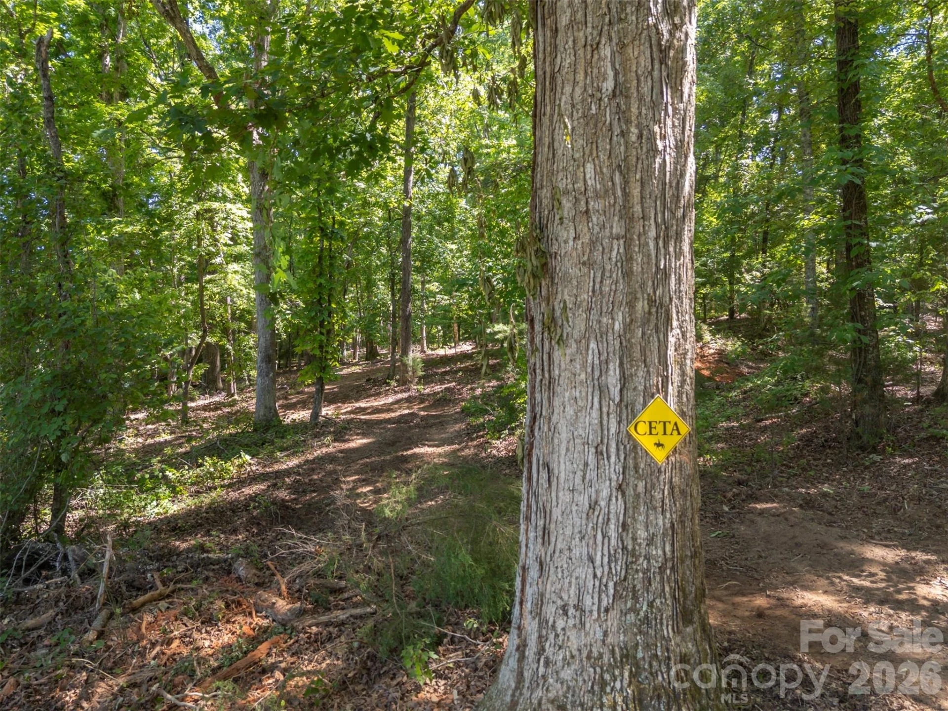 00 Green Fields Lane - Photo 6