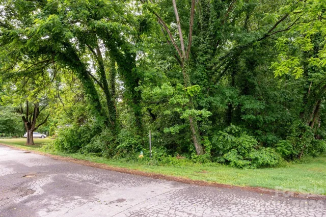 99 Maple Avenue, Candler, NC, 28715