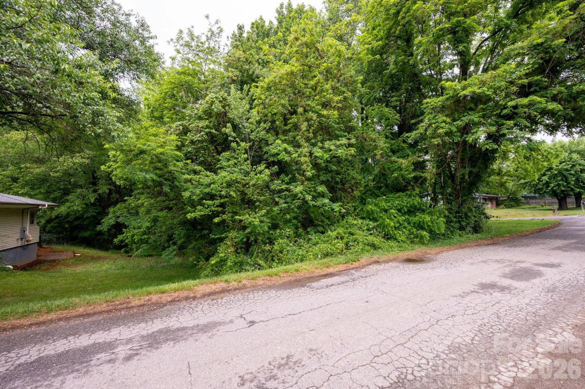 99 Maple Avenue #1 - Photo 4