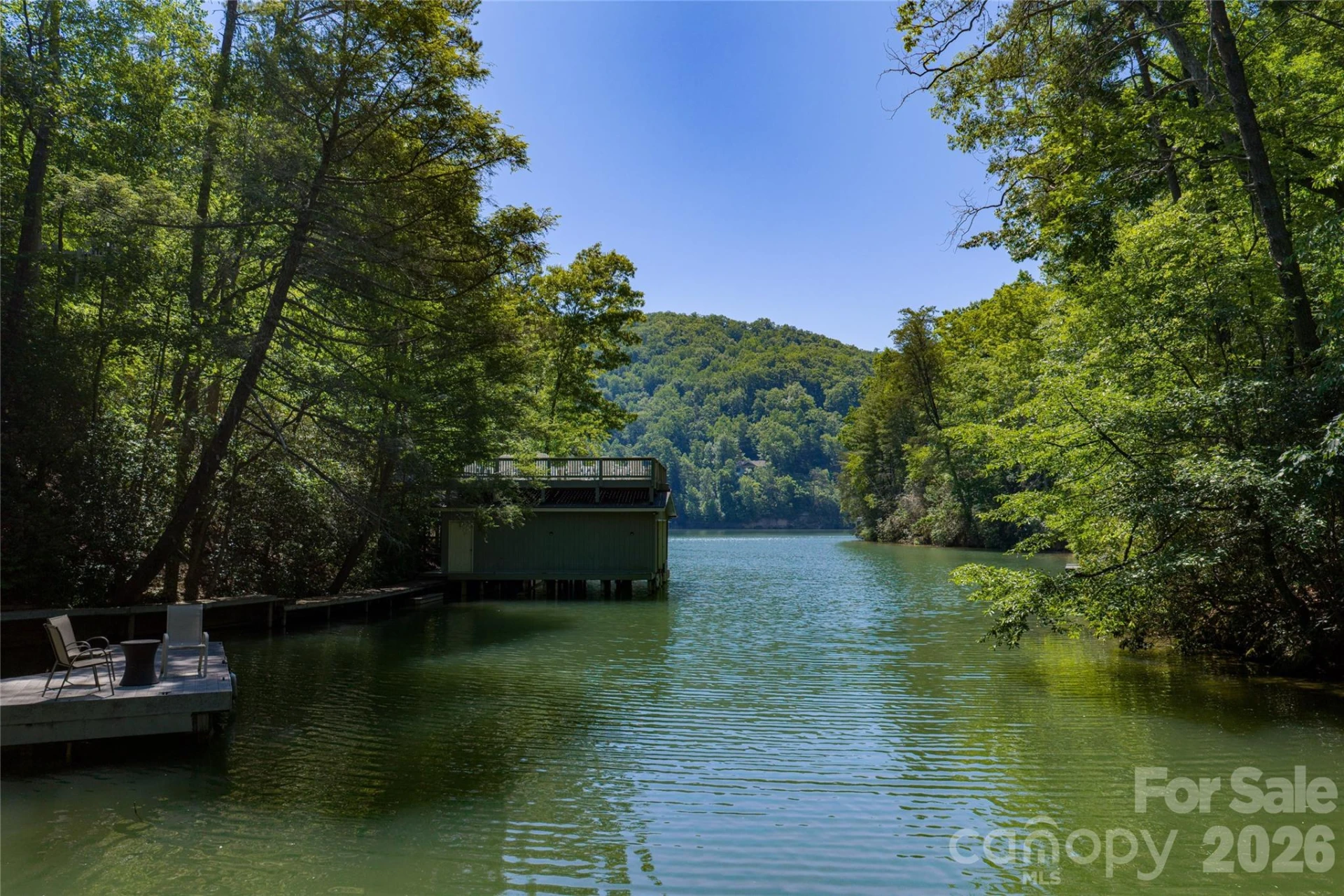 000 Dogwood Drive