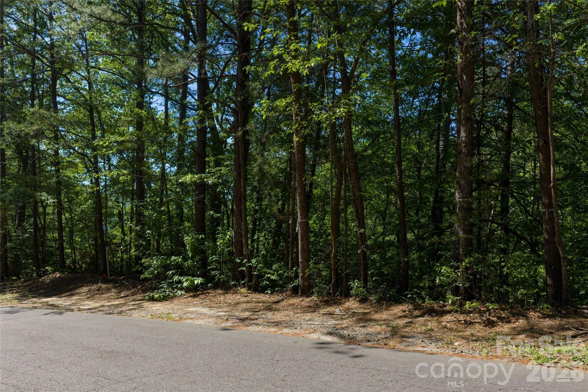 000 Dogwood Drive - Photo 2