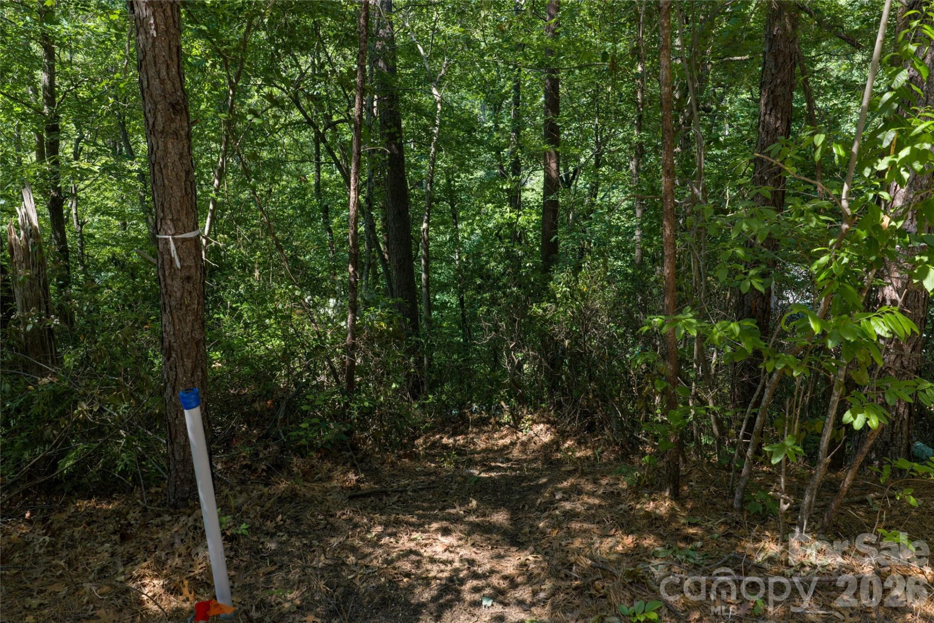 000 Dogwood Drive - Photo 4