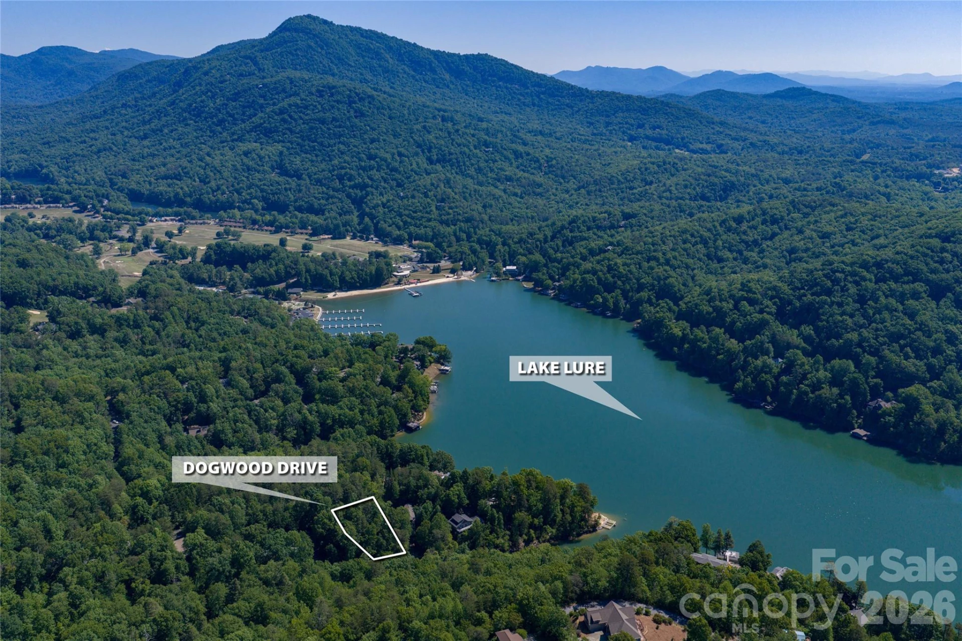 000 Dogwood Drive - Photo 9
