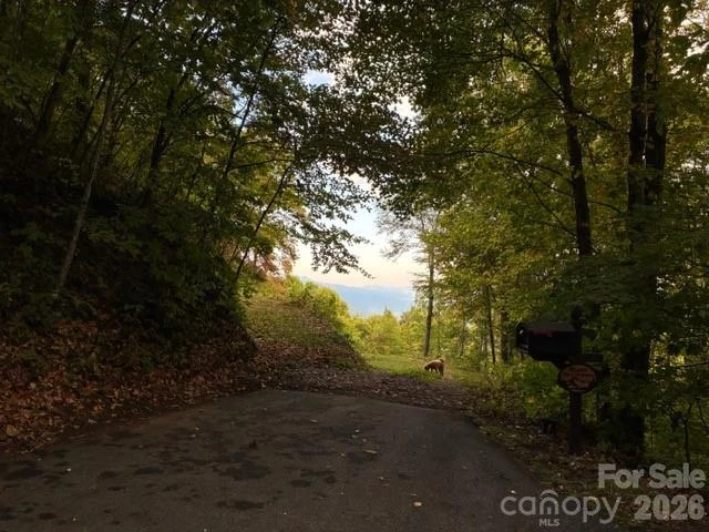 105 Dotsu Trail #C71 - Photo 12