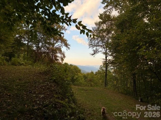 105 Dotsu Trail #C71 - Photo 15