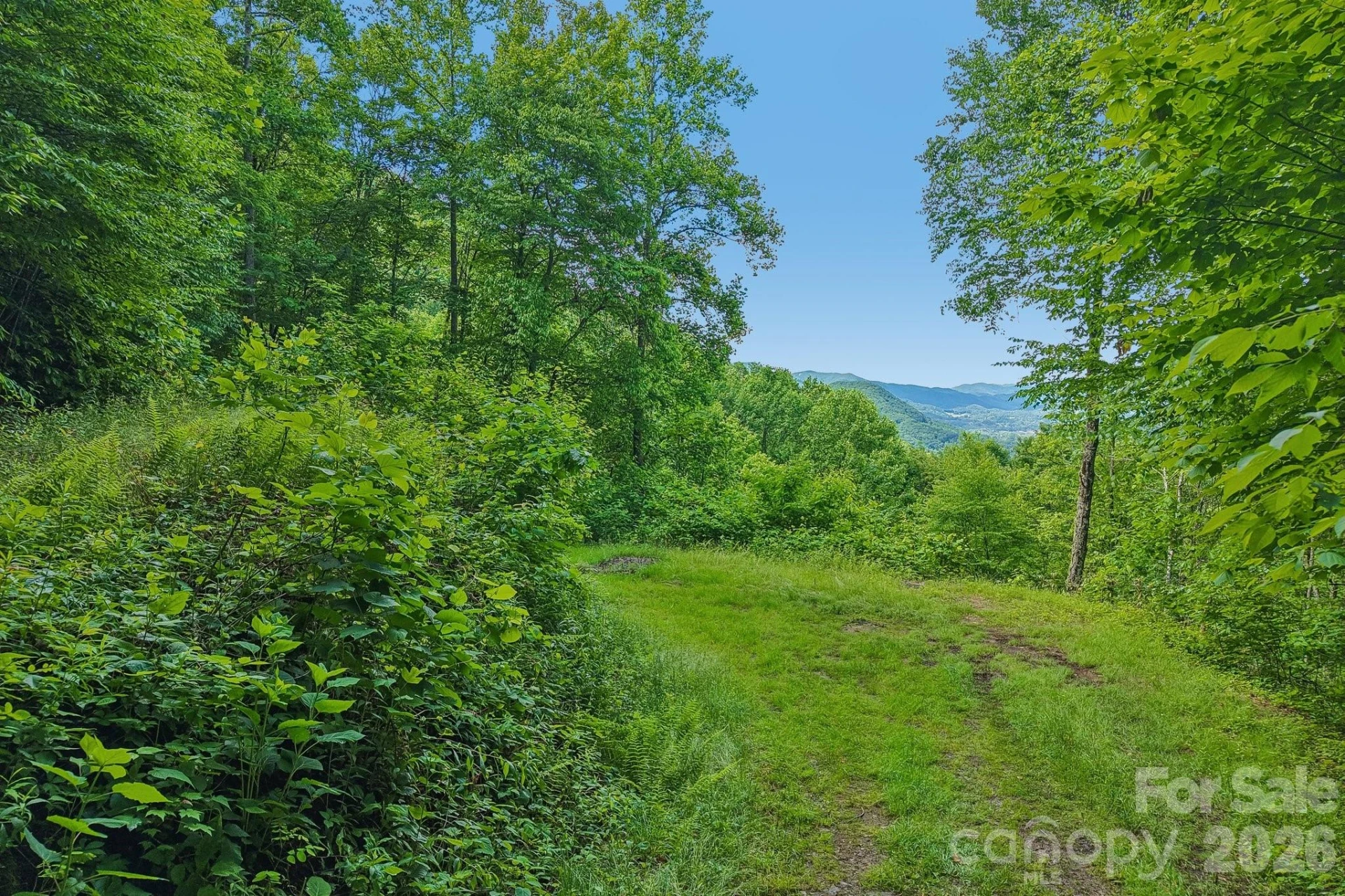 105 Dotsu Trail #C71 - Photo 27