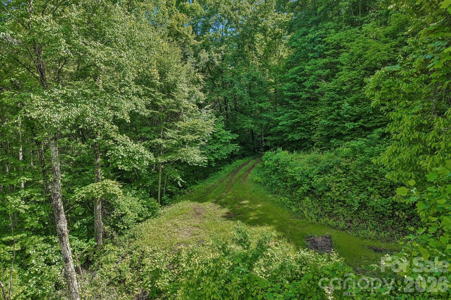 105 Dotsu Trail #C71 - Photo 28
