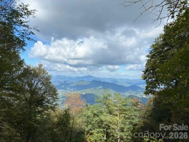 105 Dotsu Trail #C71 - Photo 5
