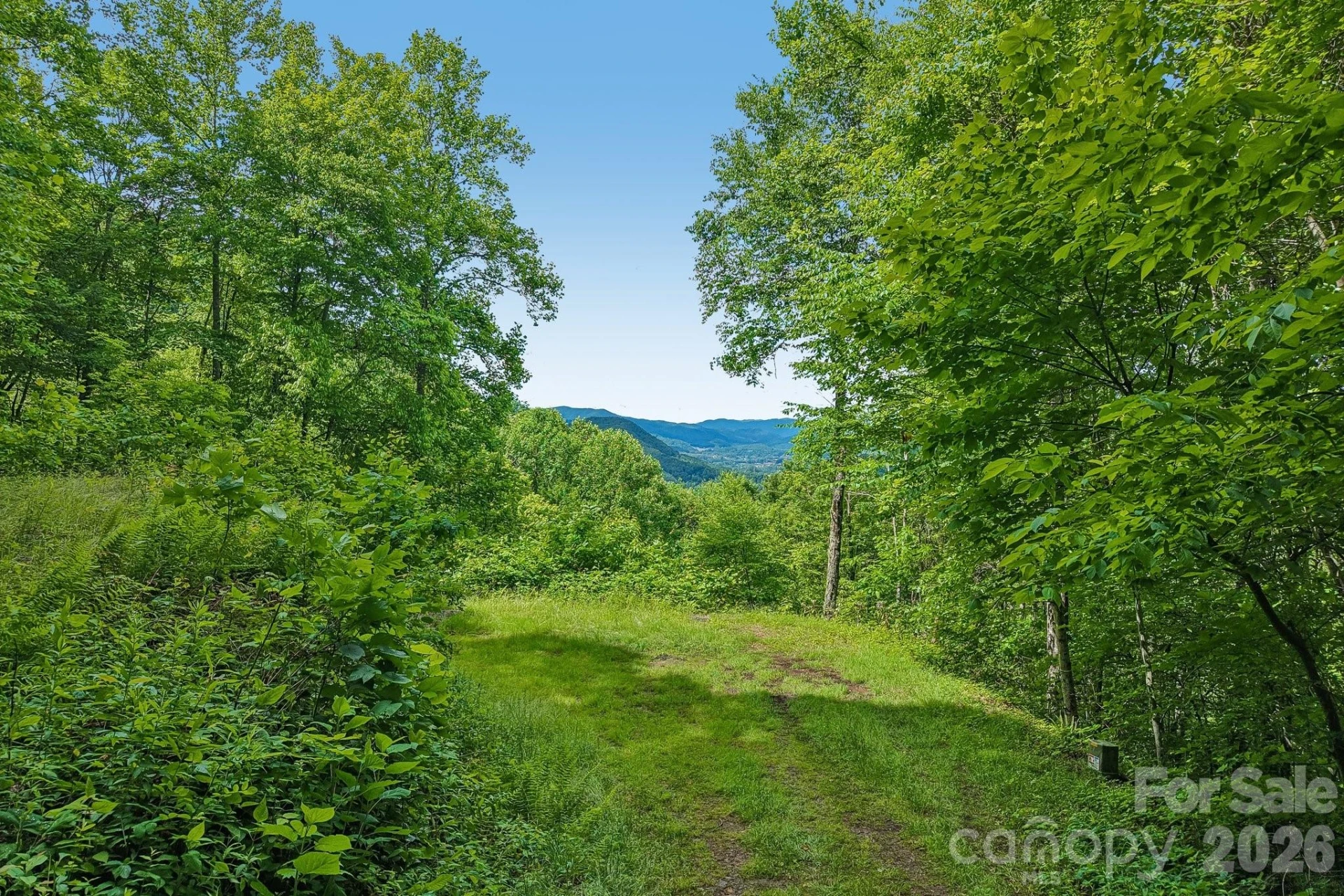 105 Dotsu Trail #C71 - Photo 31