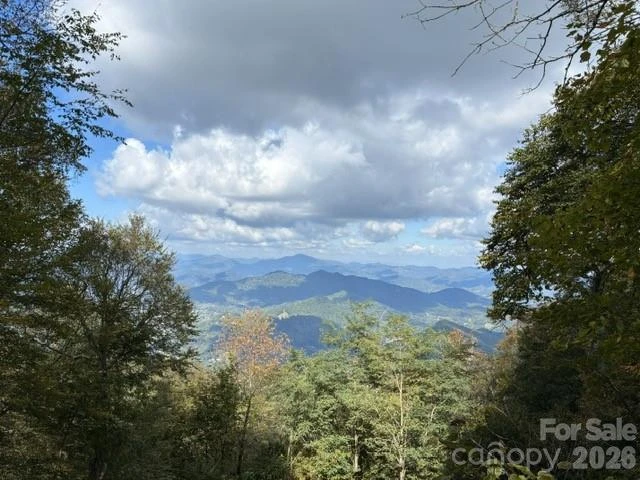105 Dotsu Trail #C71 - Photo 7