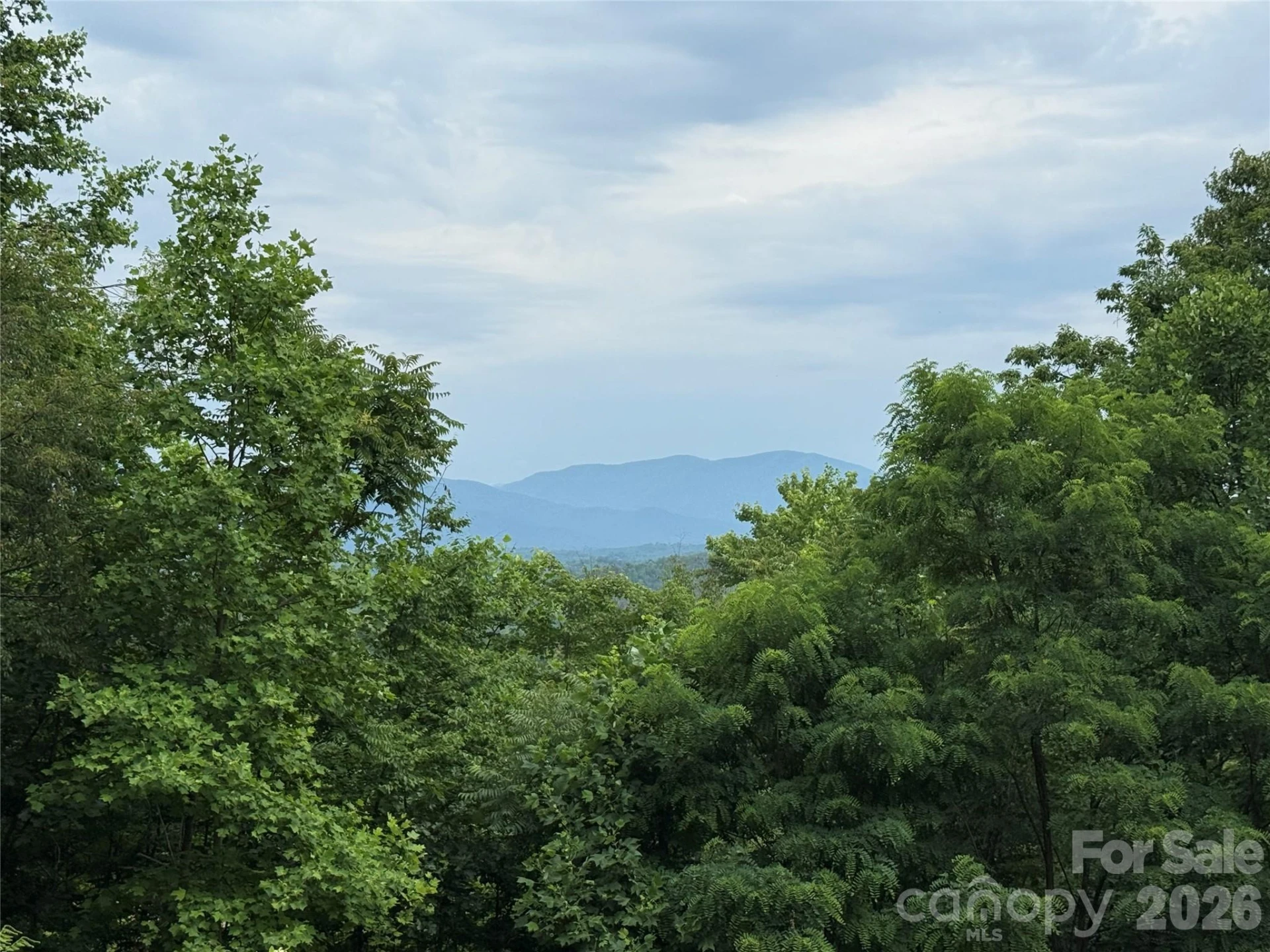 696 Hickory Nut Hollow - Photo 14