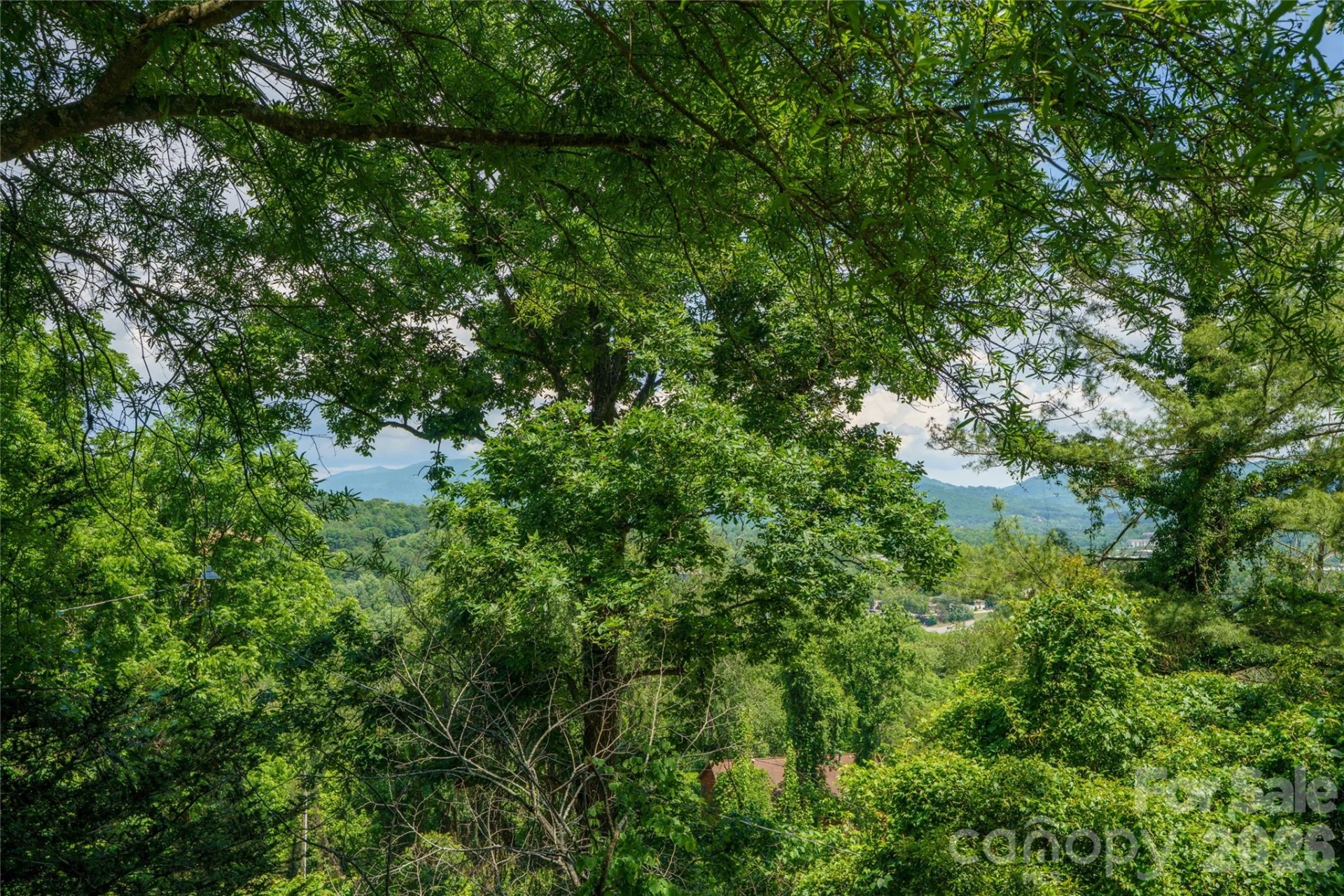 32 Delano Road - Photo 44