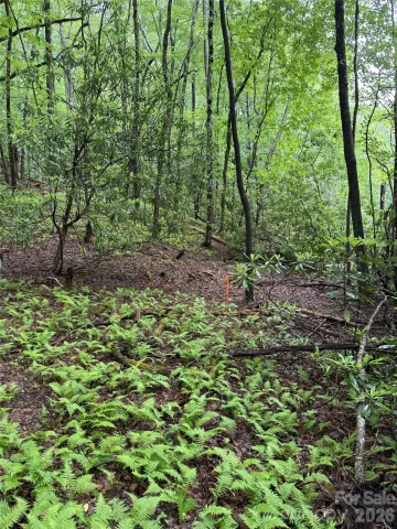 Lot 68 Cherrywood Lane