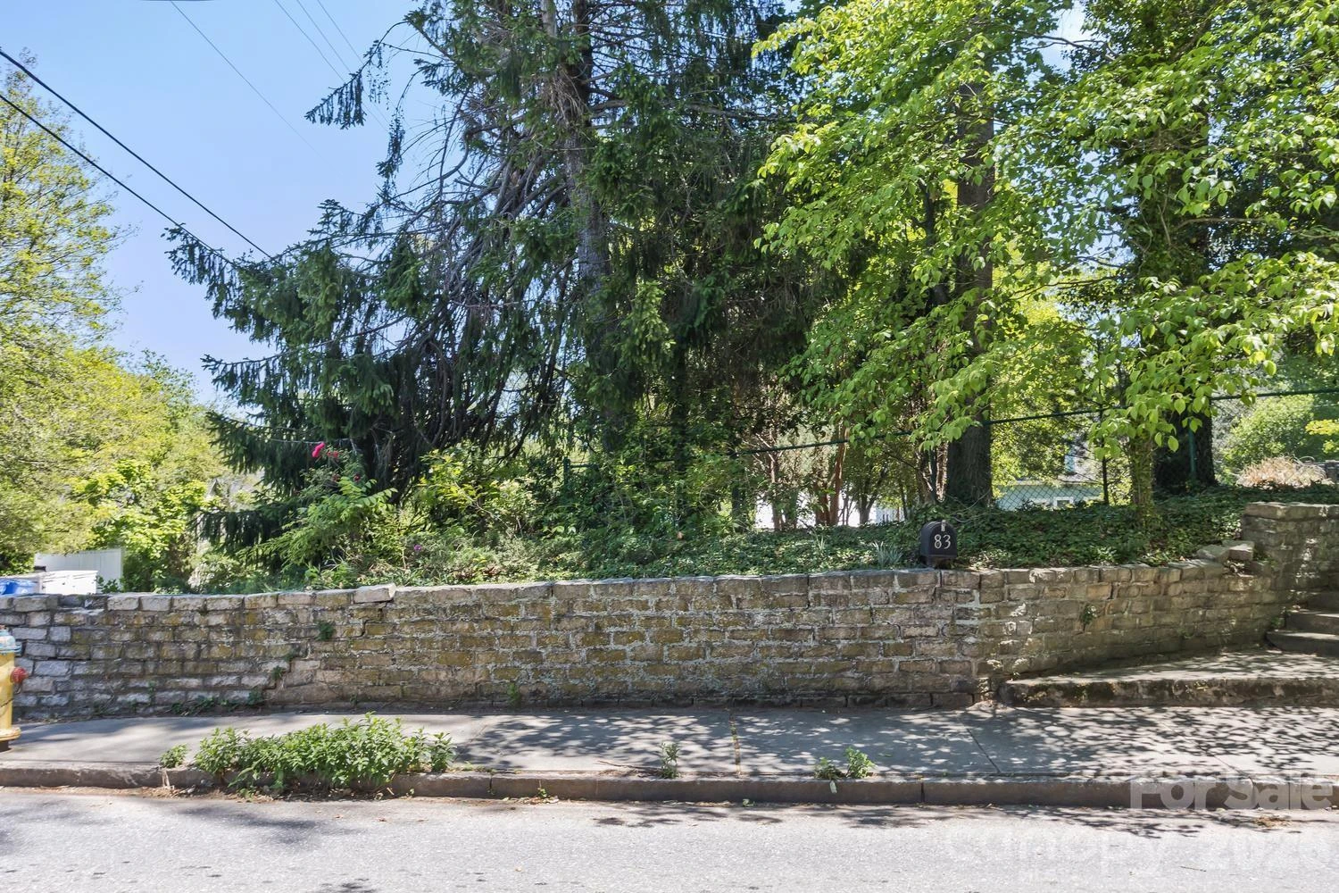 87 Hillside Street - Photo 2