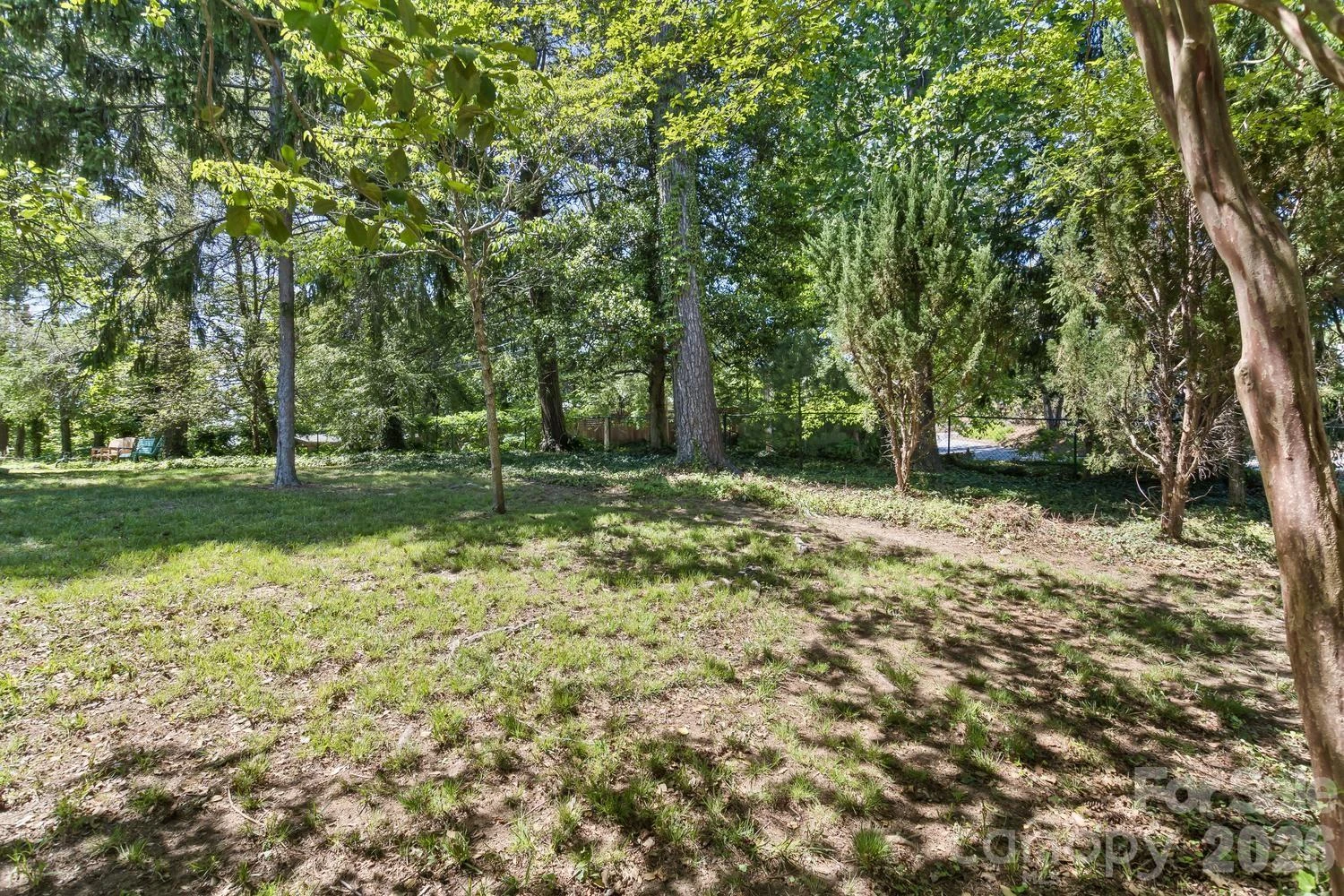 87 Hillside Street - Photo 6