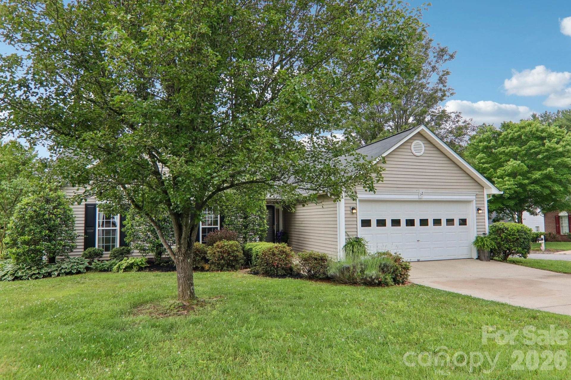 12 Wineberry Court - Photo 4