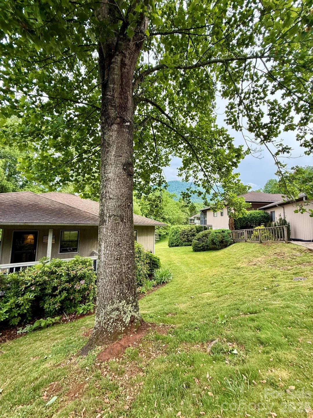 35 Talon Court - Photo 14