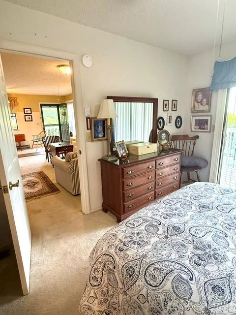 35 Talon Court - Photo 32