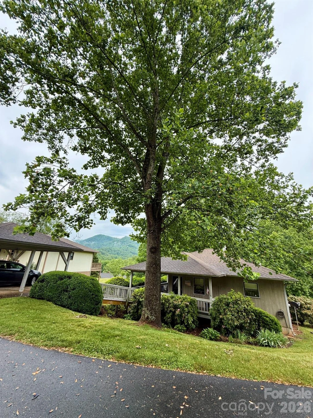 35 Talon Court - Photo 8