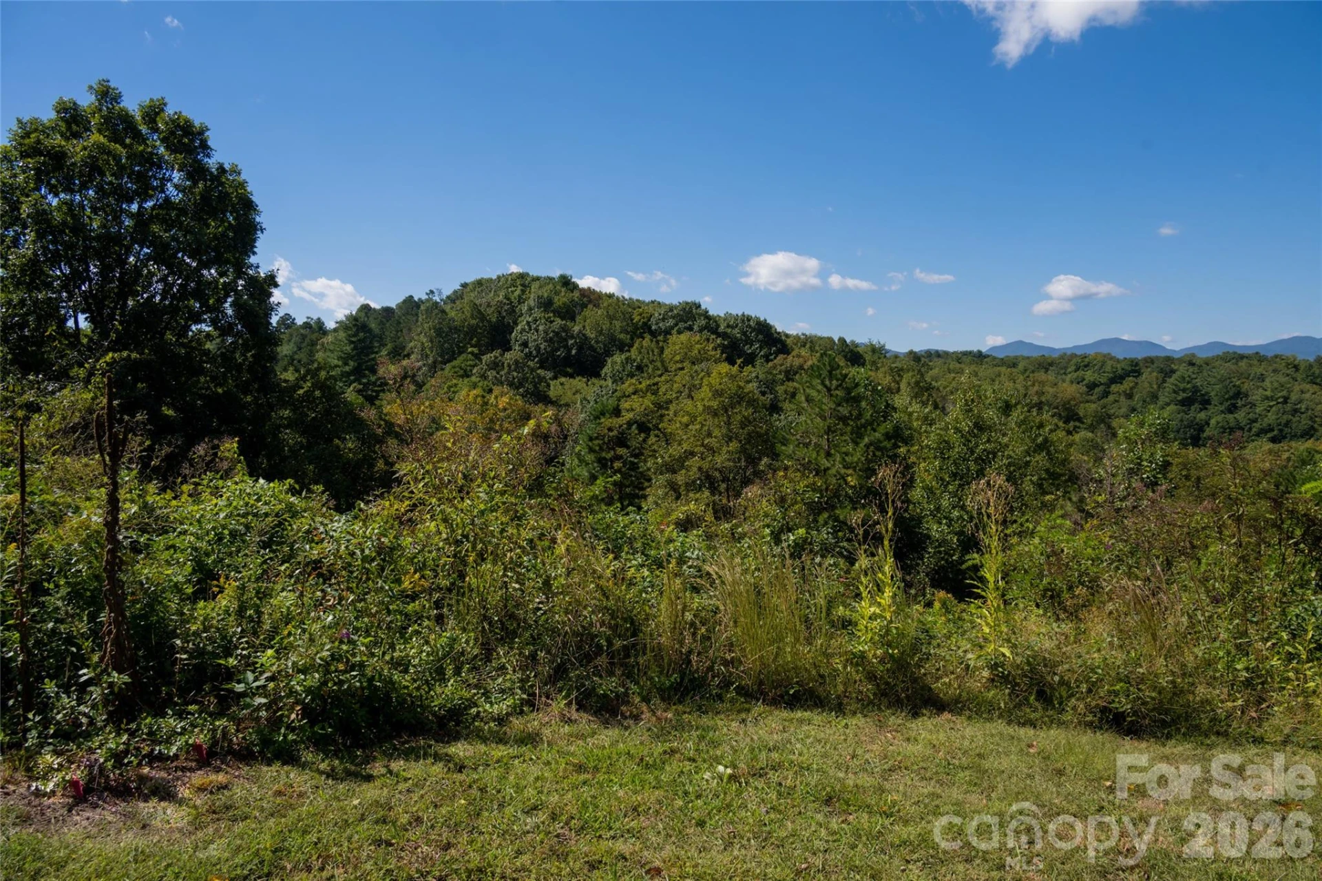 68 Sweet Fern Parkway - Photo 2