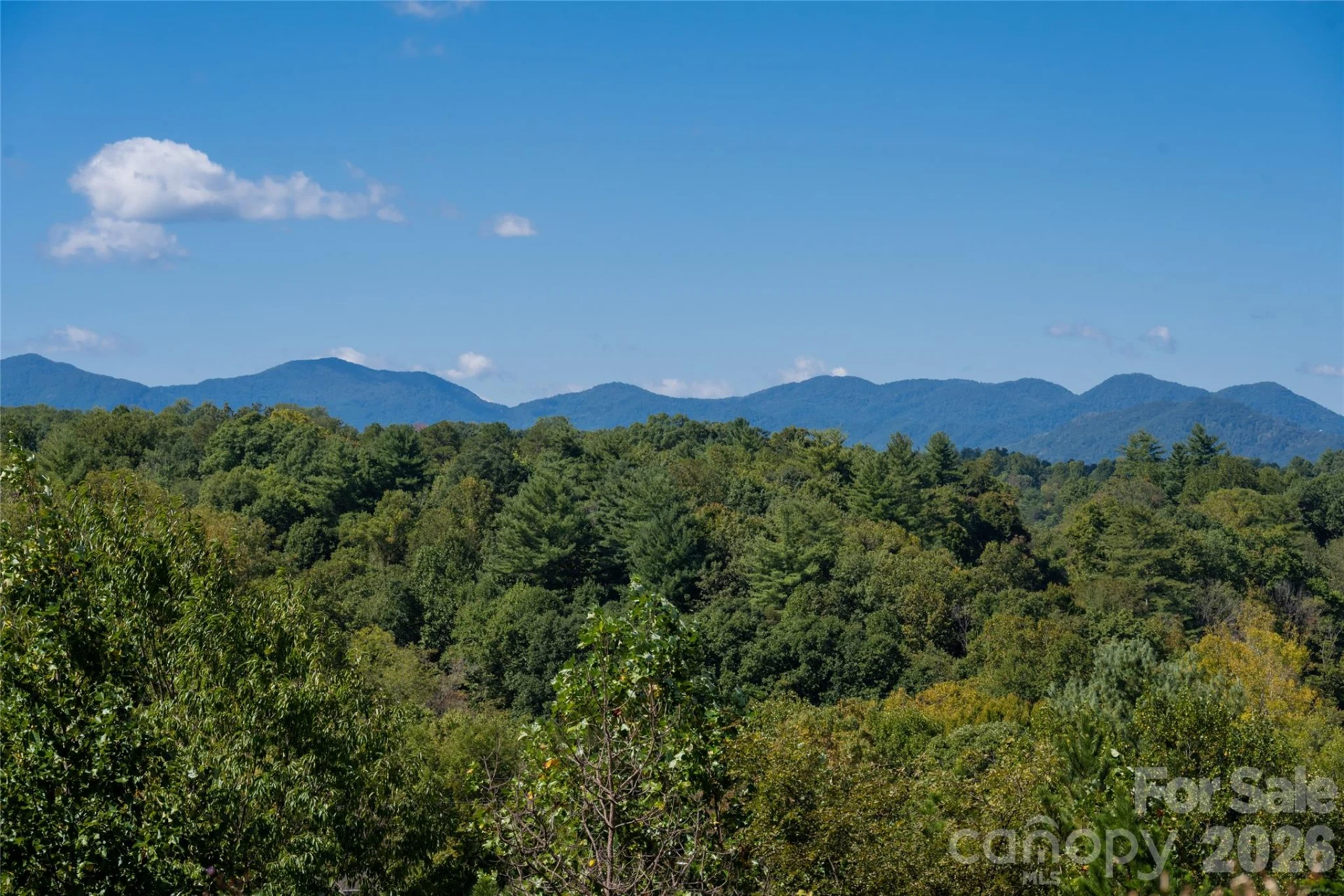 68 Sweet Fern Parkway - Photo 3