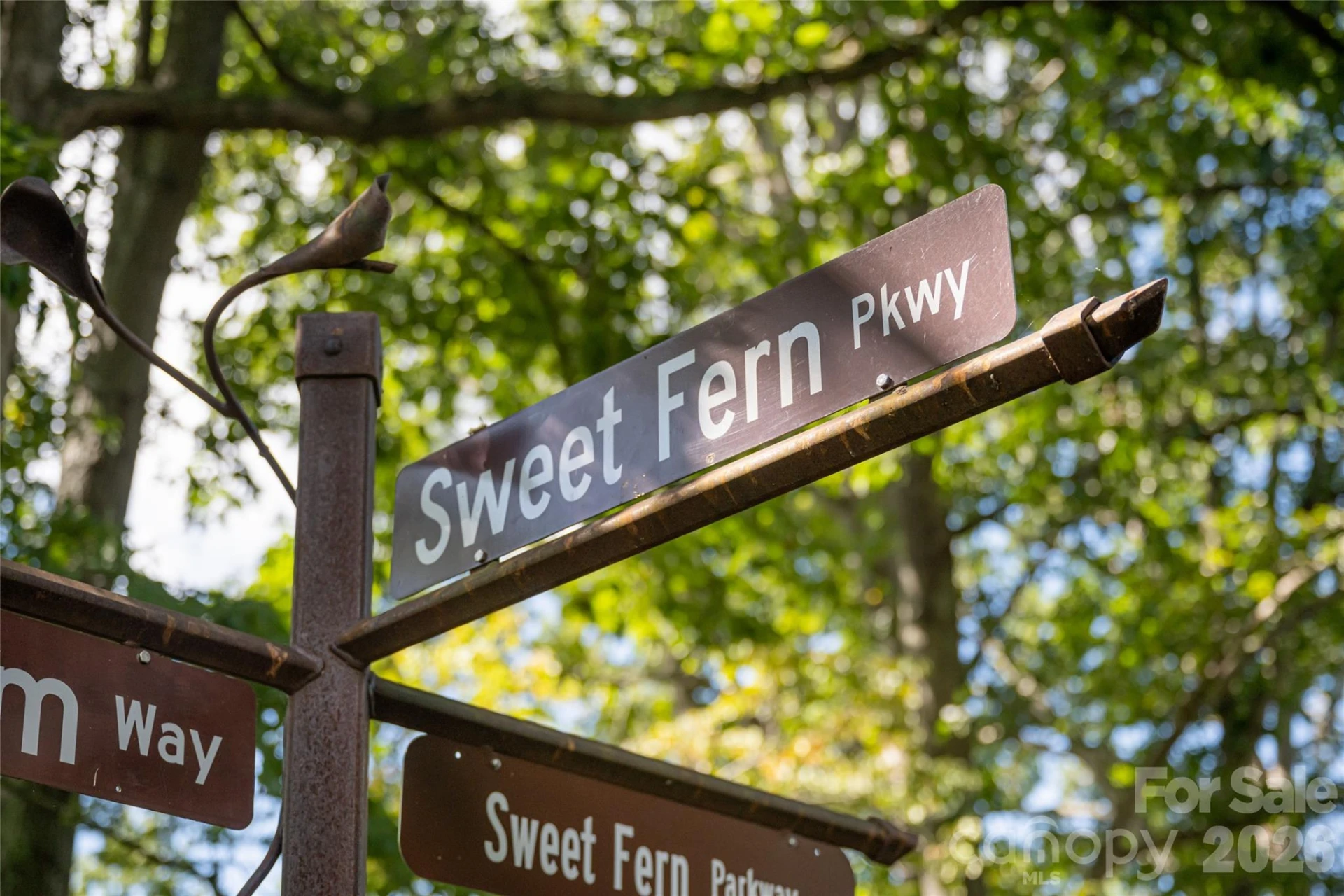 68 Sweet Fern Parkway - Photo 4