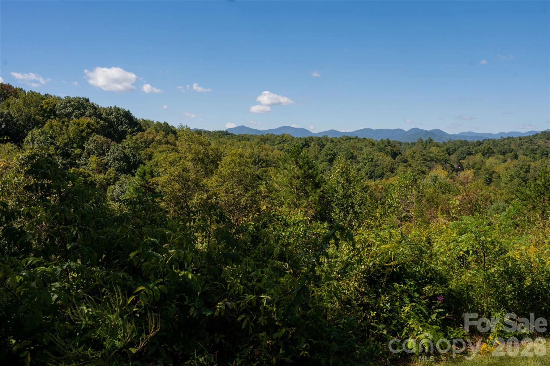 68 Sweet Fern Parkway - Photo 5