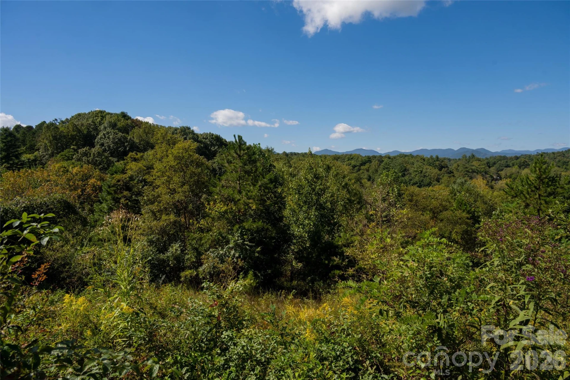 68 Sweet Fern Parkway - Photo 6