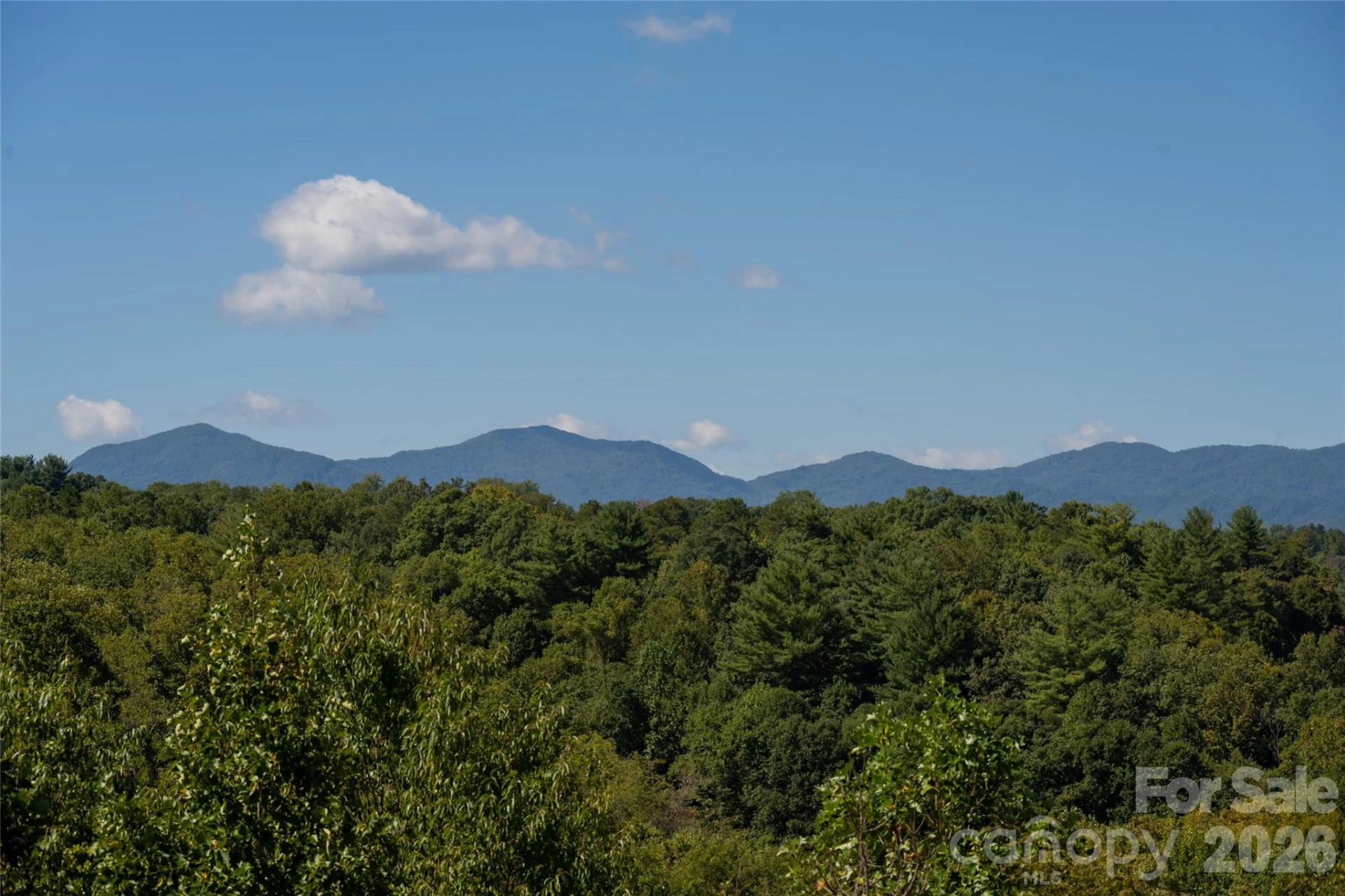 68 Sweet Fern Parkway - Photo 7