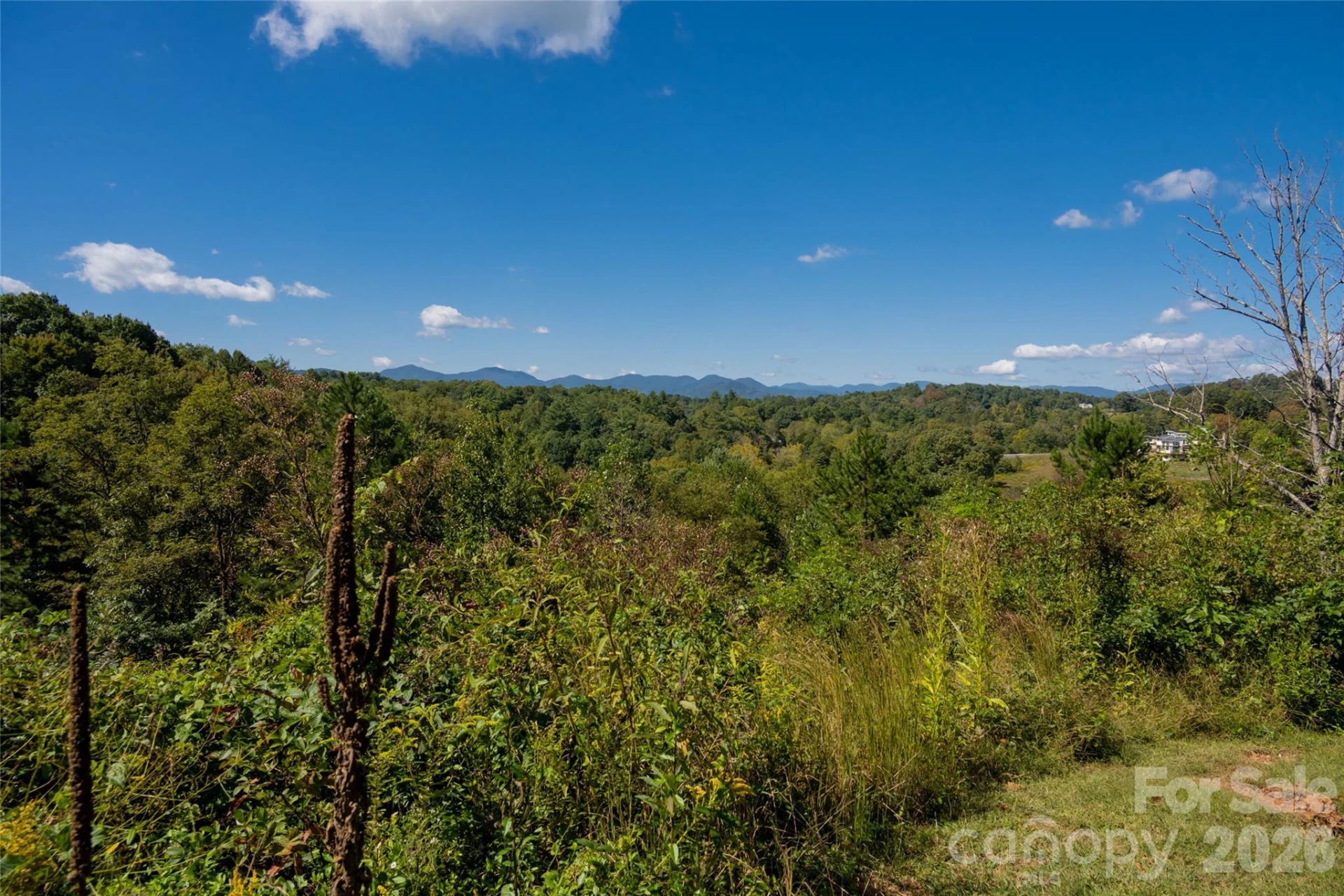 68 Sweet Fern Parkway - Photo 8