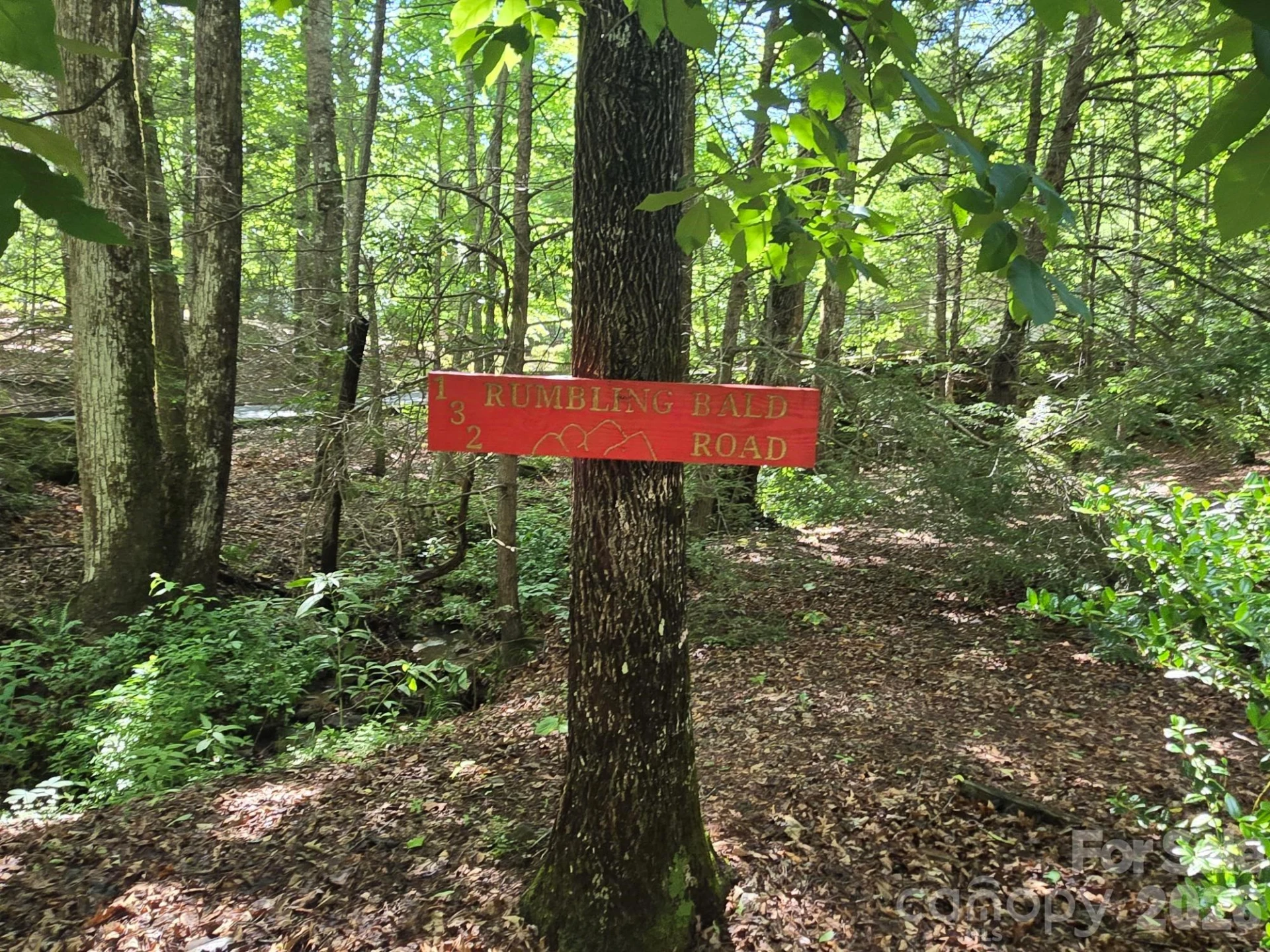 132 Rumbling Bald Road - Photo 22