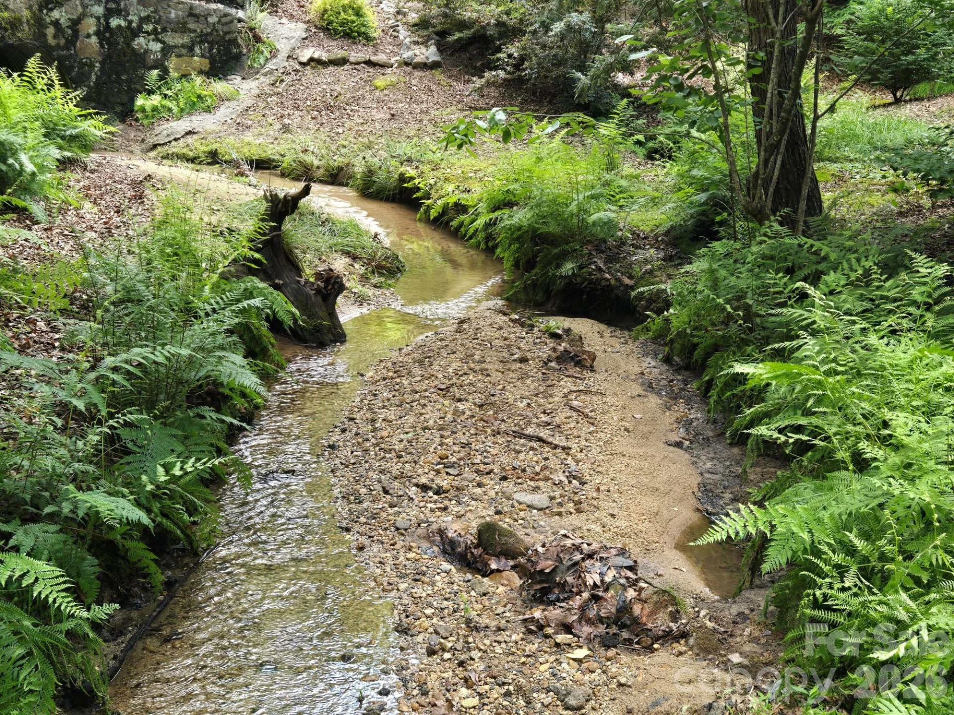 132 Rumbling Bald Road - Photo 4