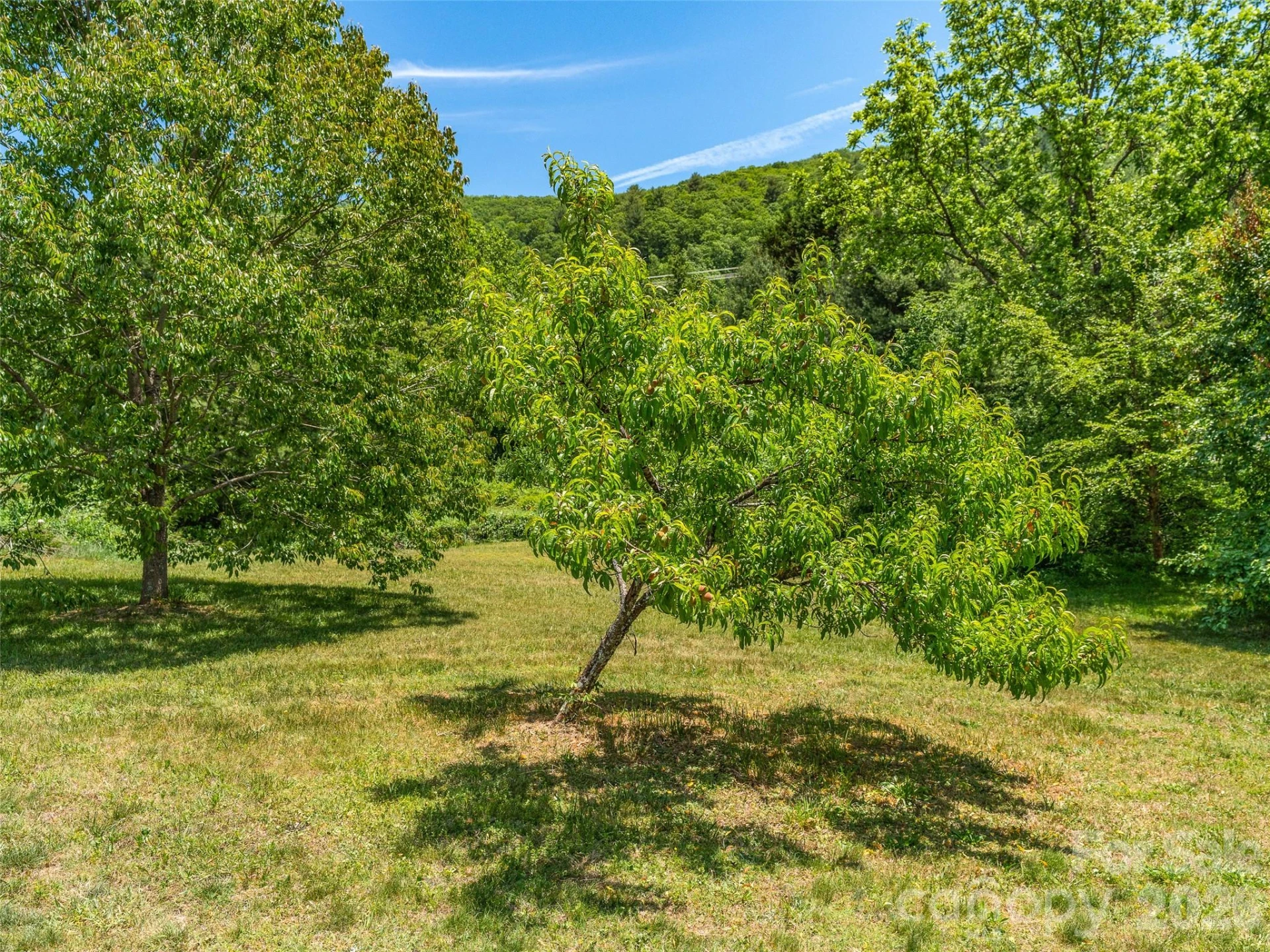 241 Pinners Cove Road - Photo 28