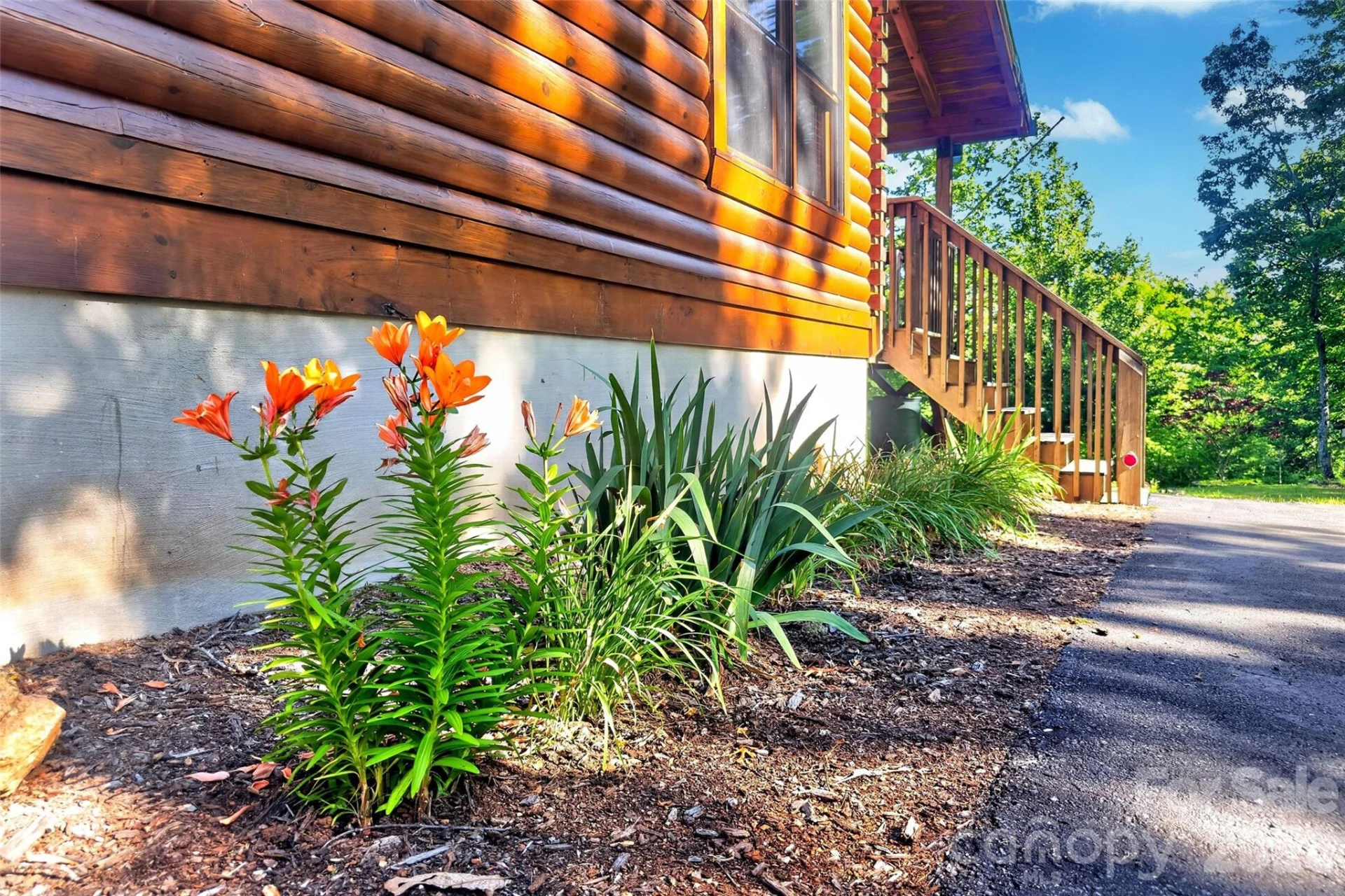 545 Mountain Crest Drive - Photo 4