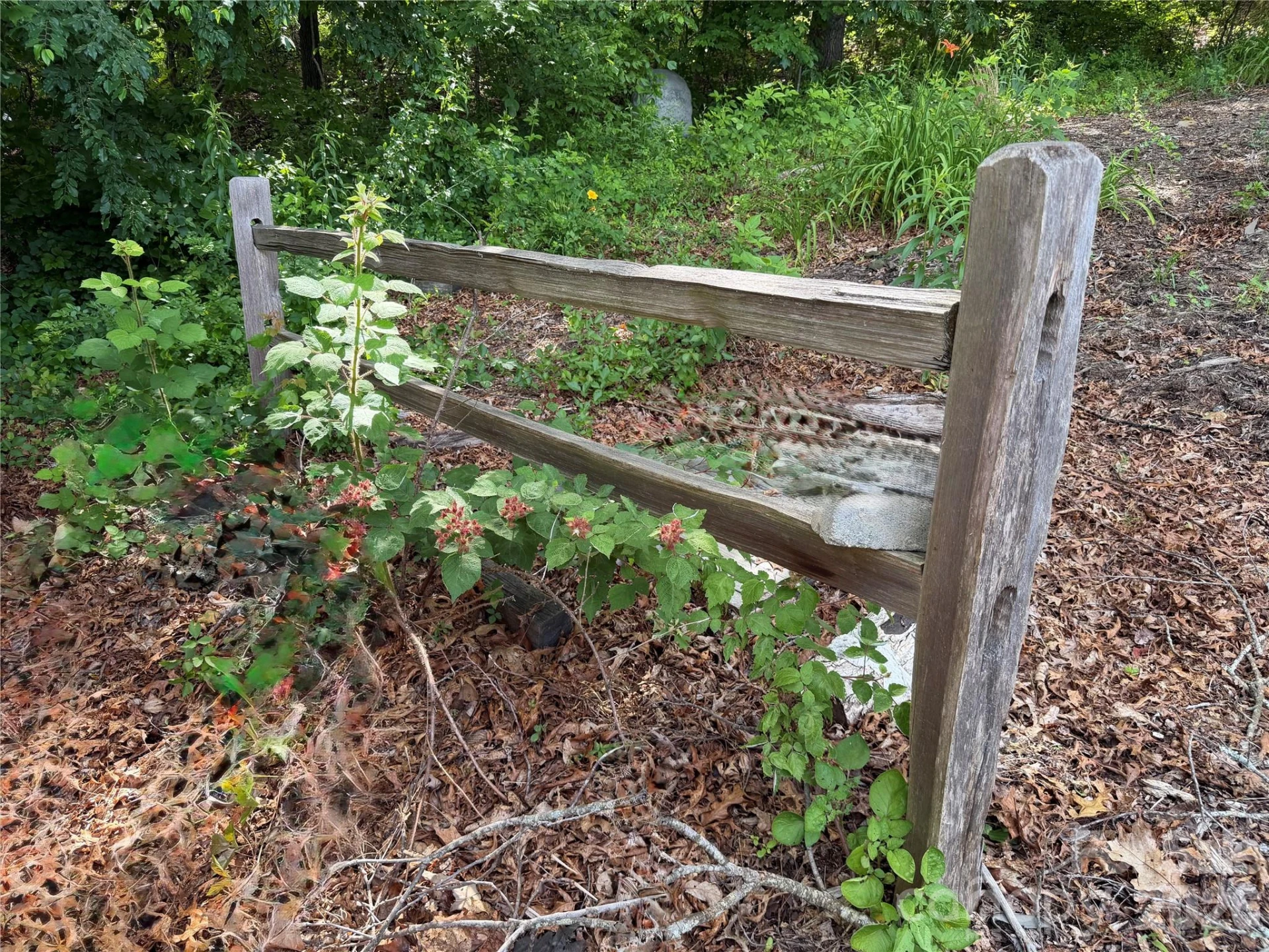 351 Mag Sluder Road - Photo 34