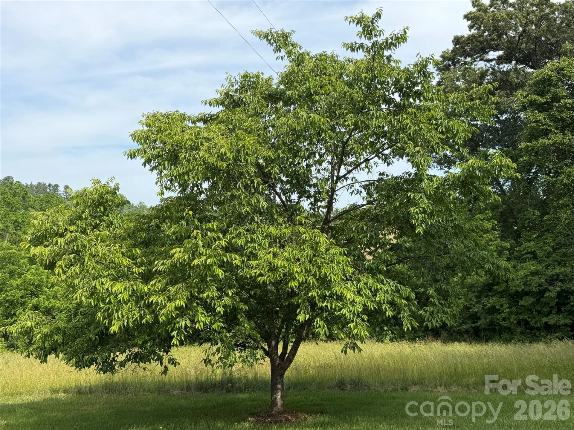 351 Mag Sluder Road - Photo 35
