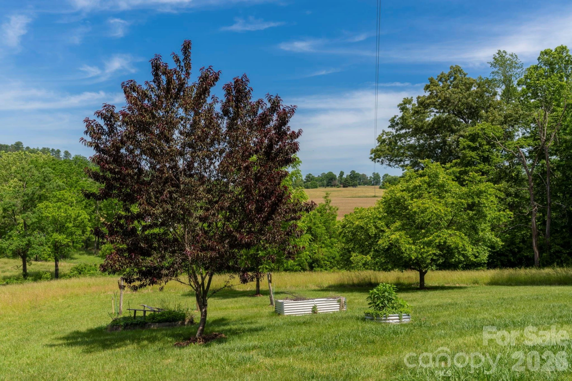 351 Mag Sluder Road - Photo 36
