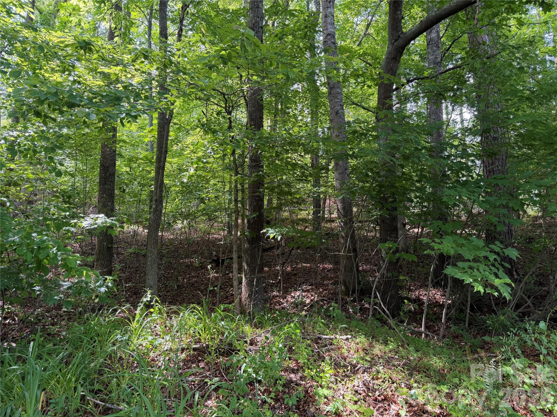 351 Mag Sluder Road - Photo 41