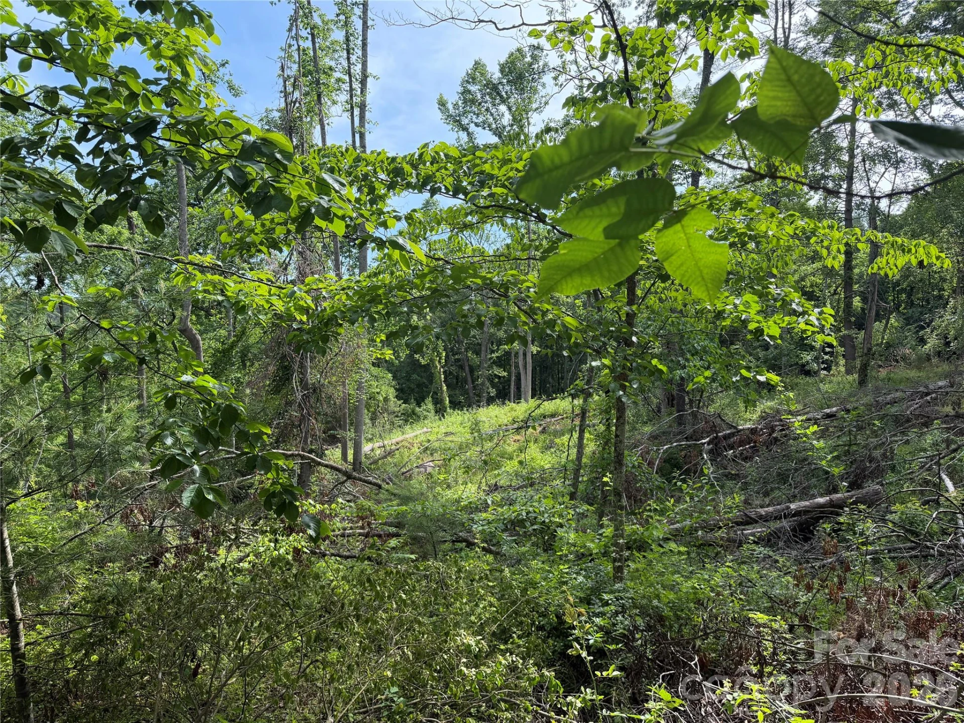 351 Mag Sluder Road - Photo 42