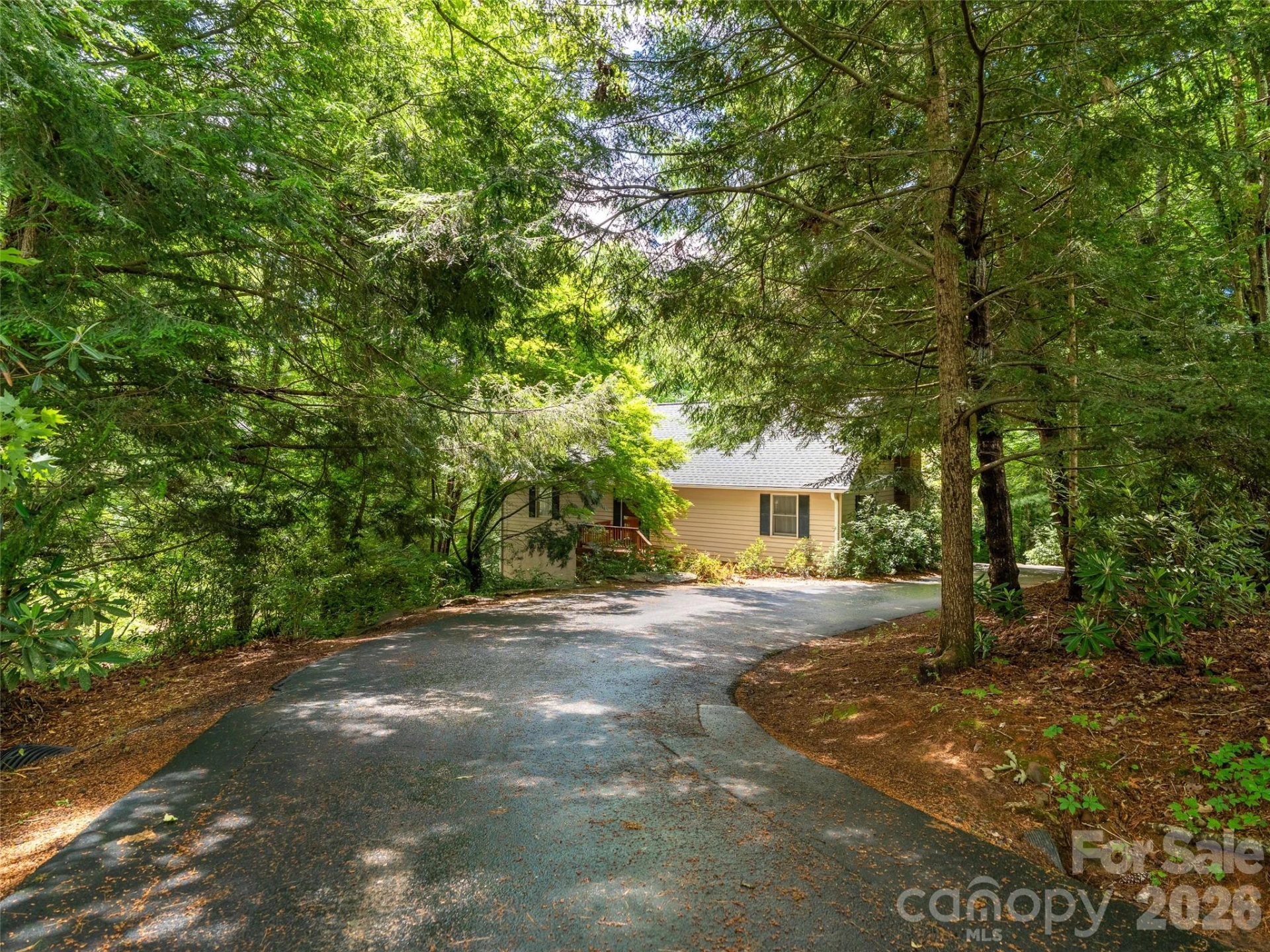 25 Blueberry Lane - Photo 4