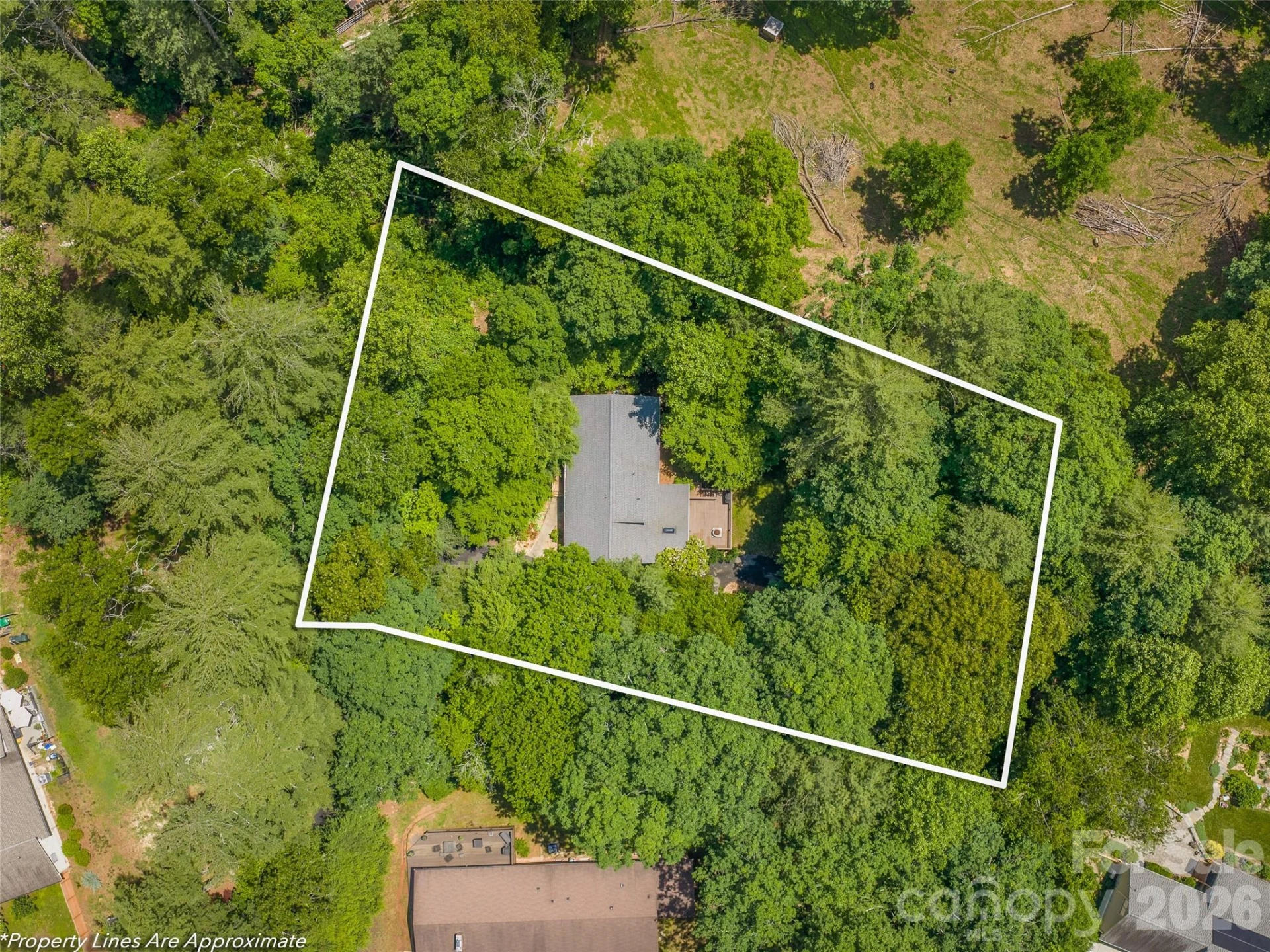25 Blueberry Lane - Photo 45