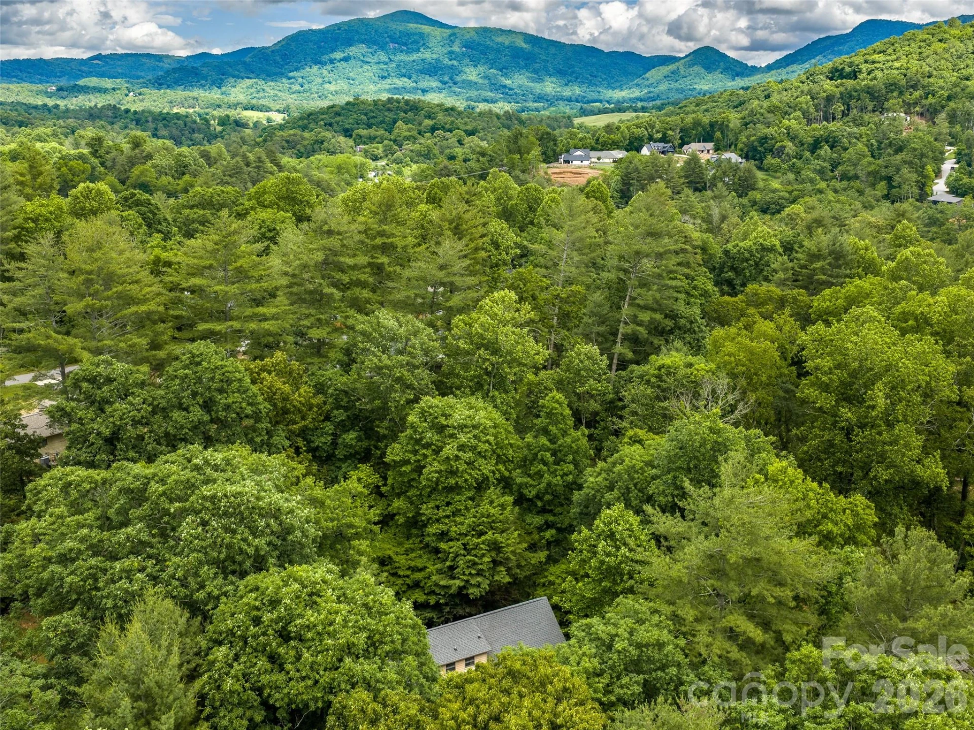 25 Blueberry Lane - Photo 46
