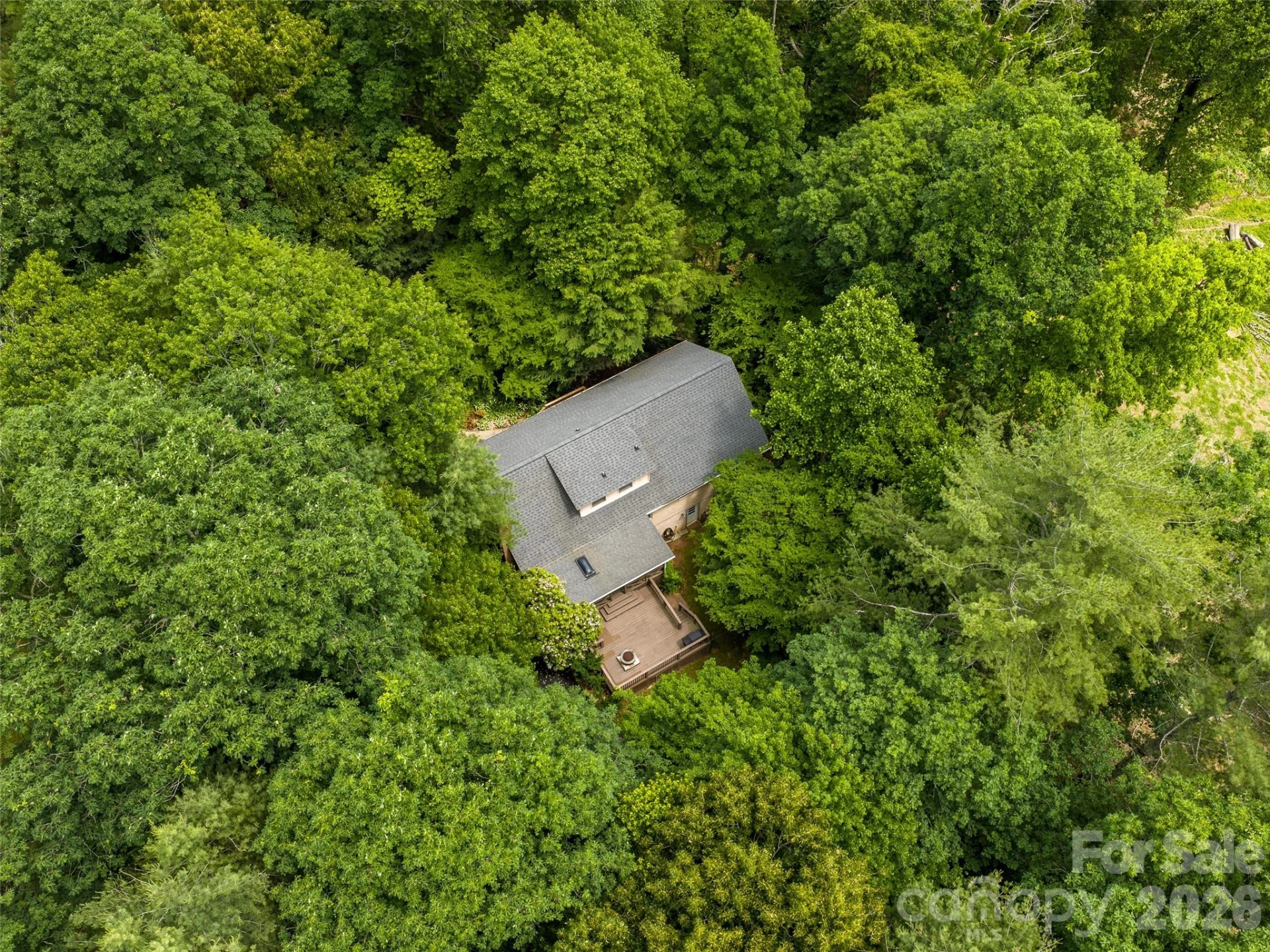 25 Blueberry Lane - Photo 47