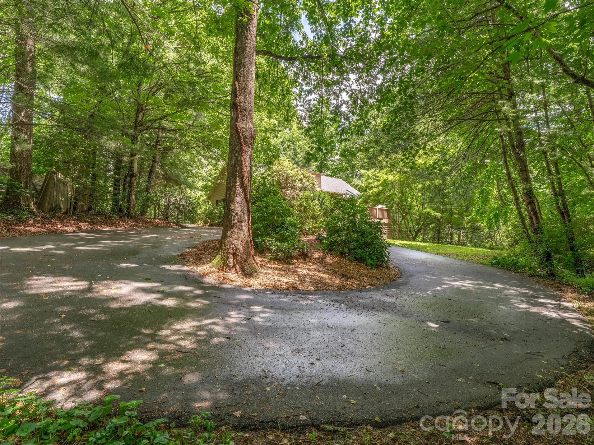 25 Blueberry Lane - Photo 6