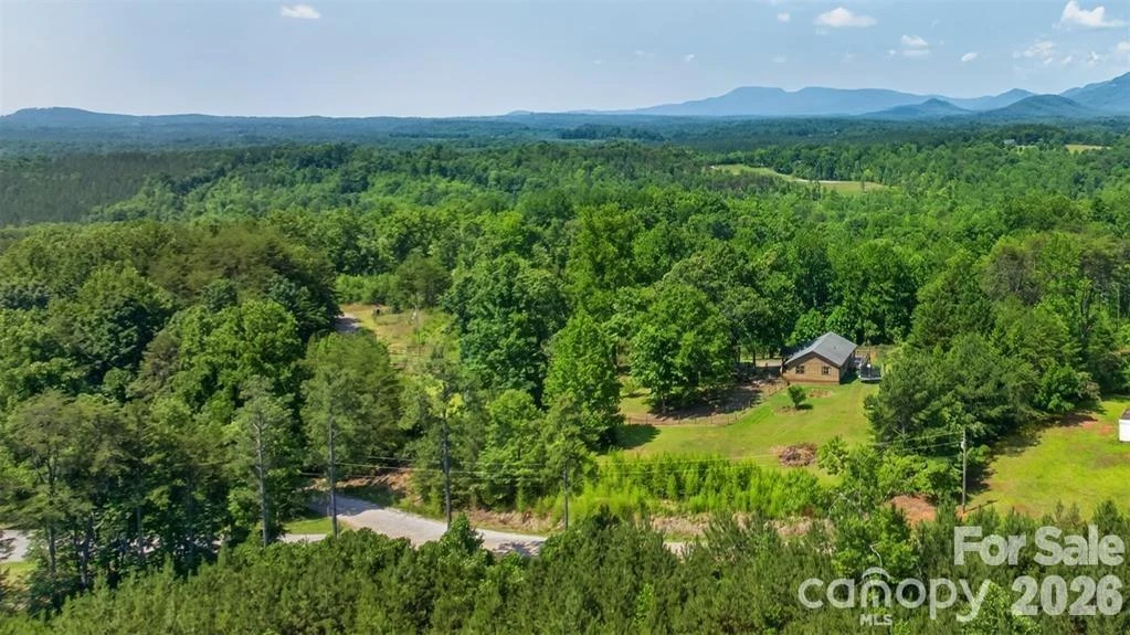 66 Misery Ridge Trail - Photo 38