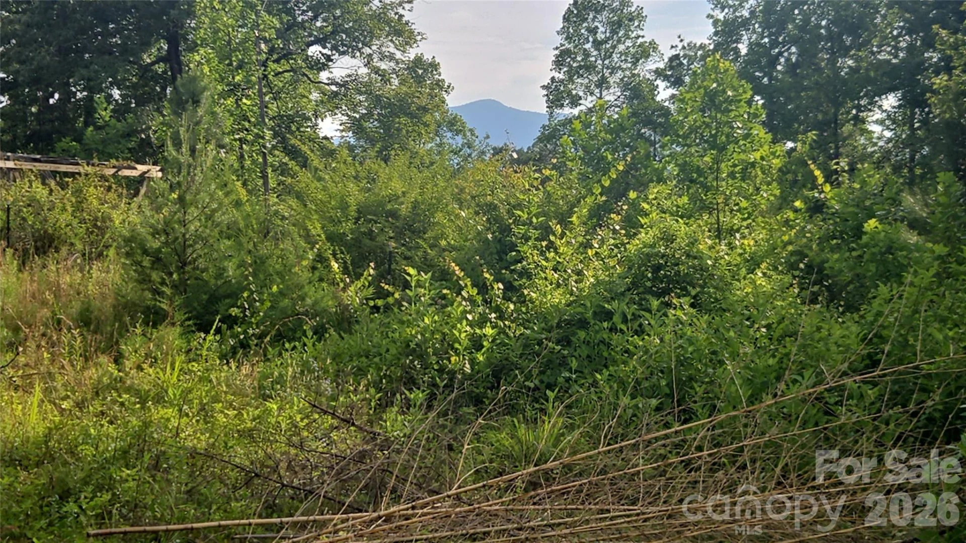 66 Misery Ridge Trail - Photo 46