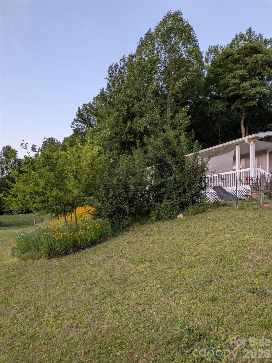 59 Ck Cabin Drive - Photo 29